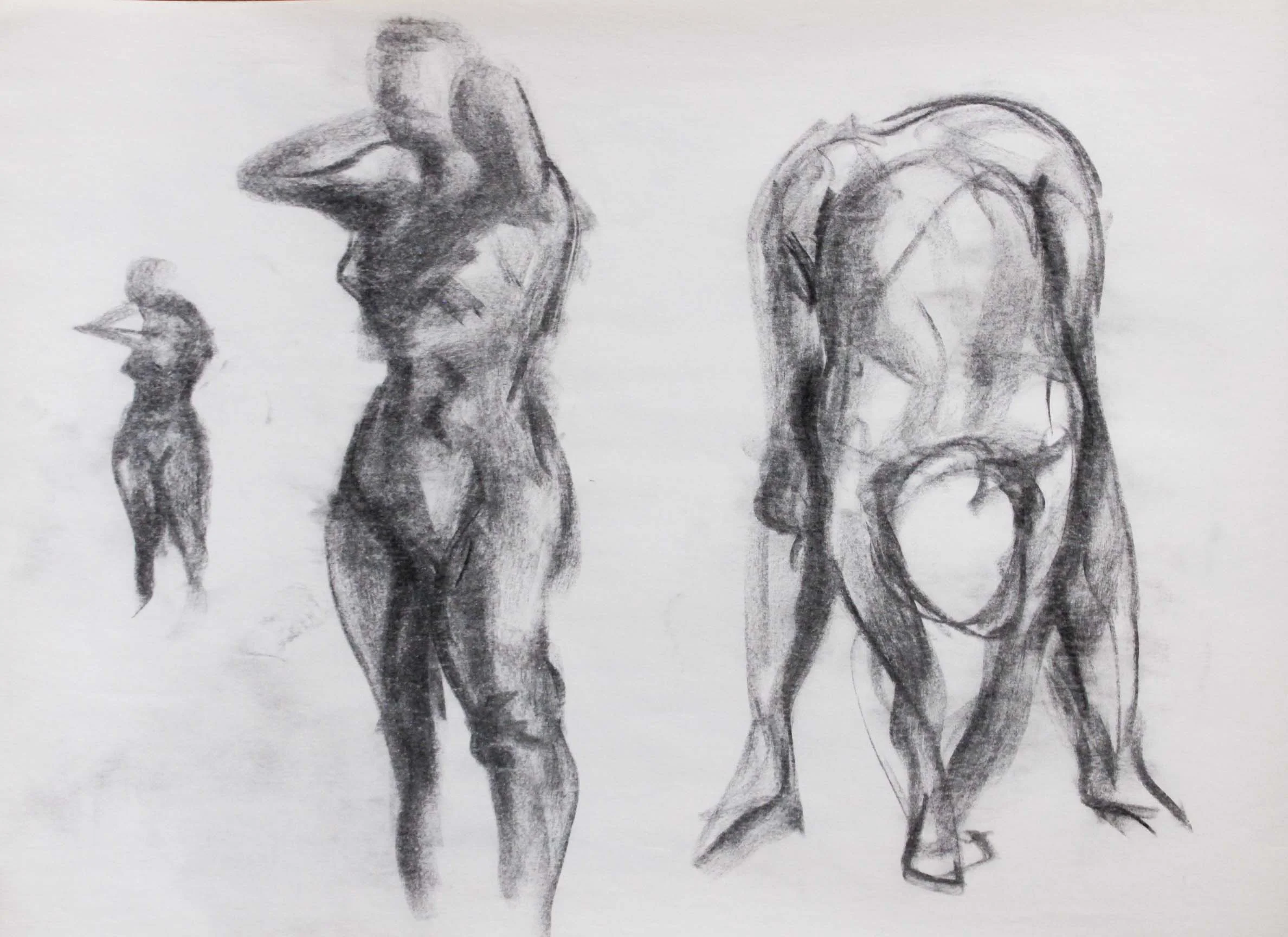 Robin Life Drawing28.jpg