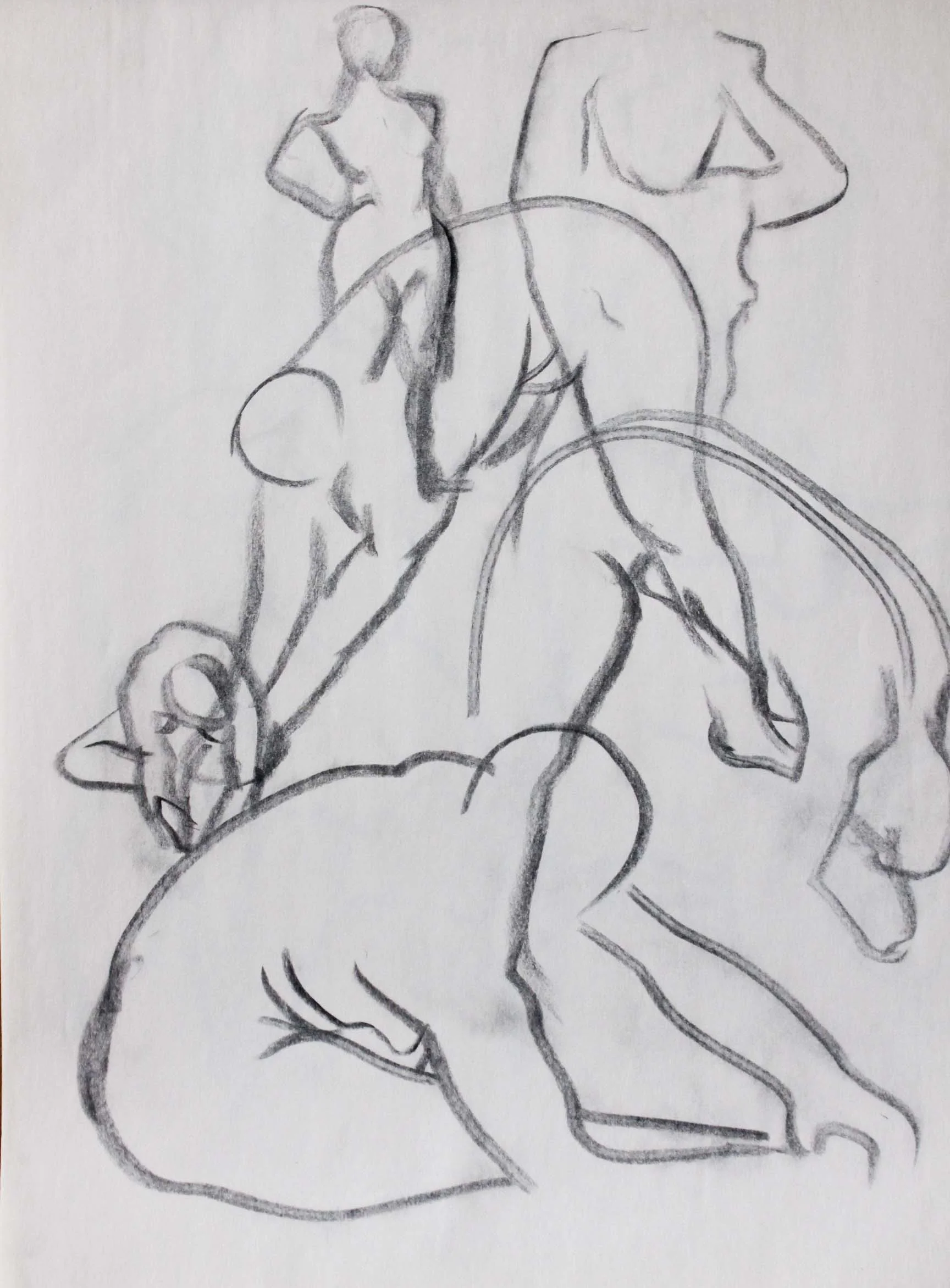Robin Life Drawing25.jpg