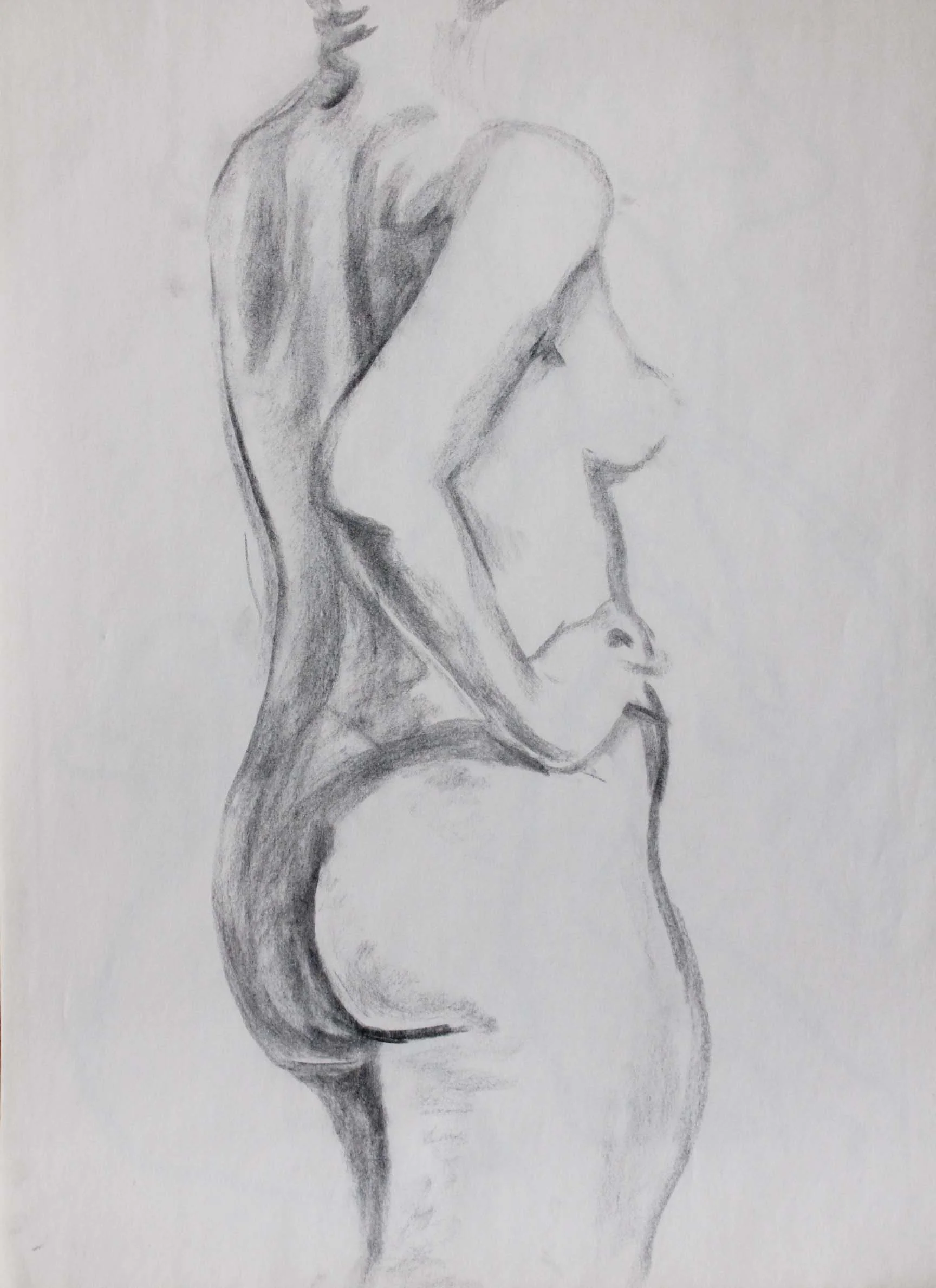 Robin Life Drawing24.jpg