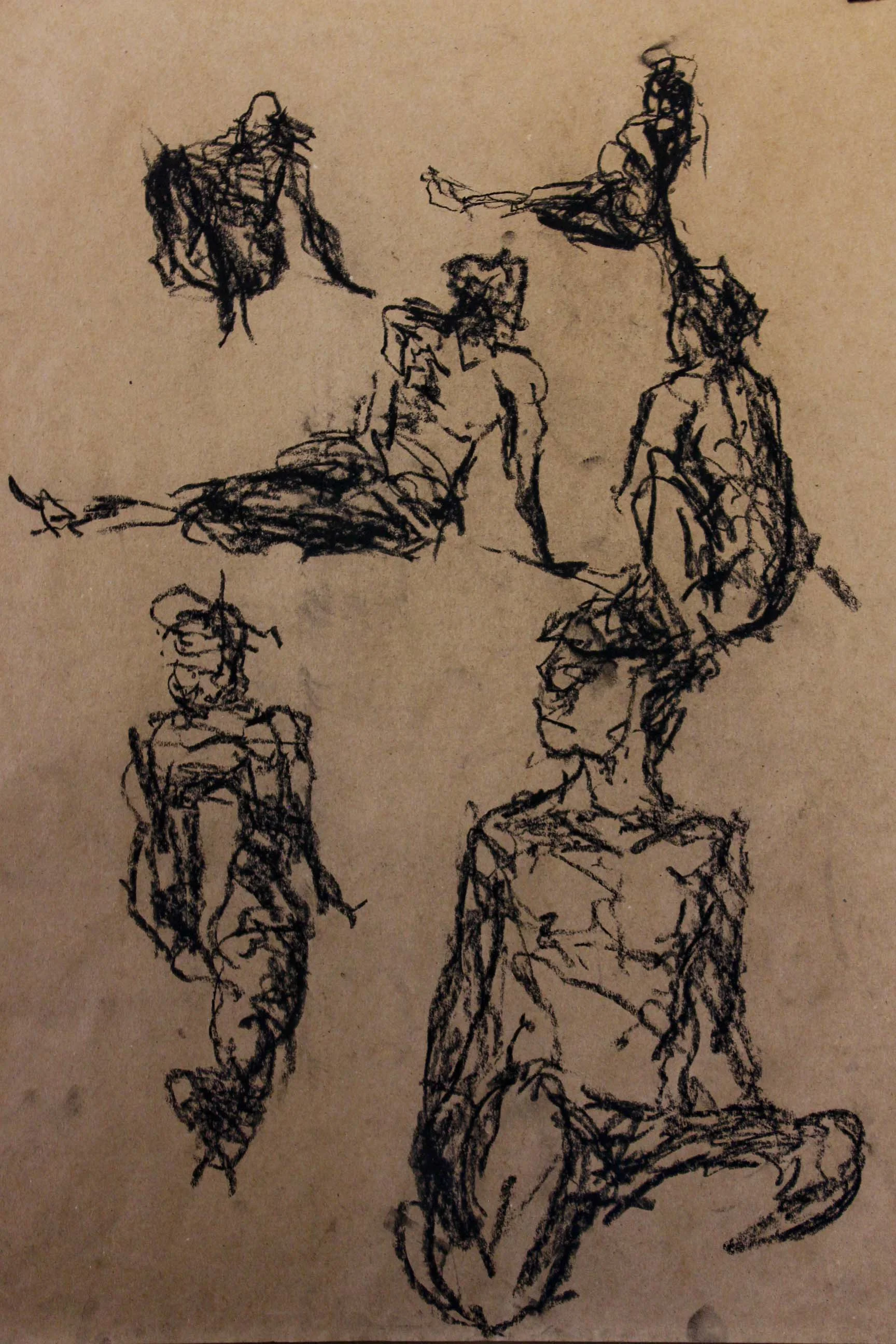 Robin Life Drawing08.jpg