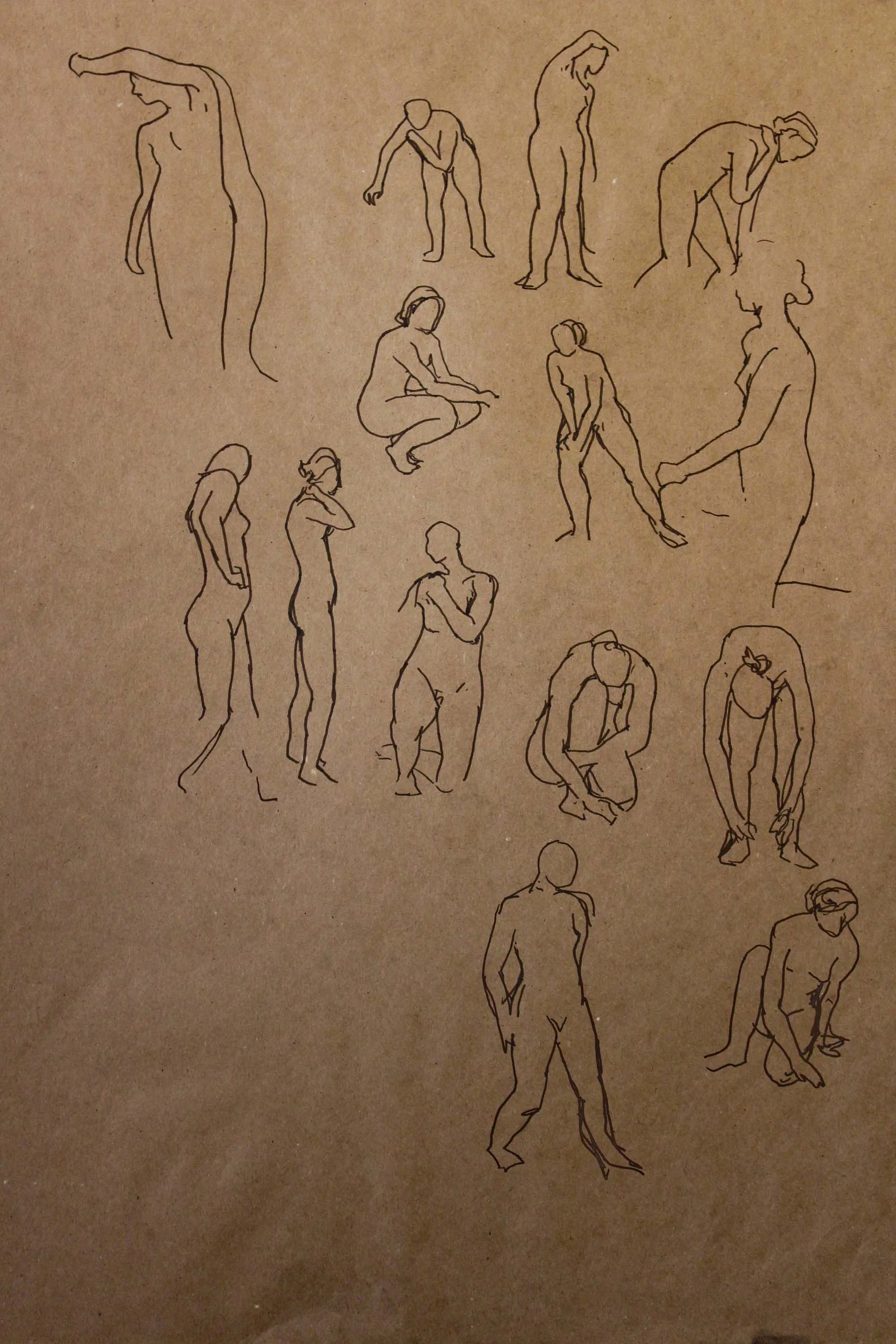 Robin Life Drawing07.jpg