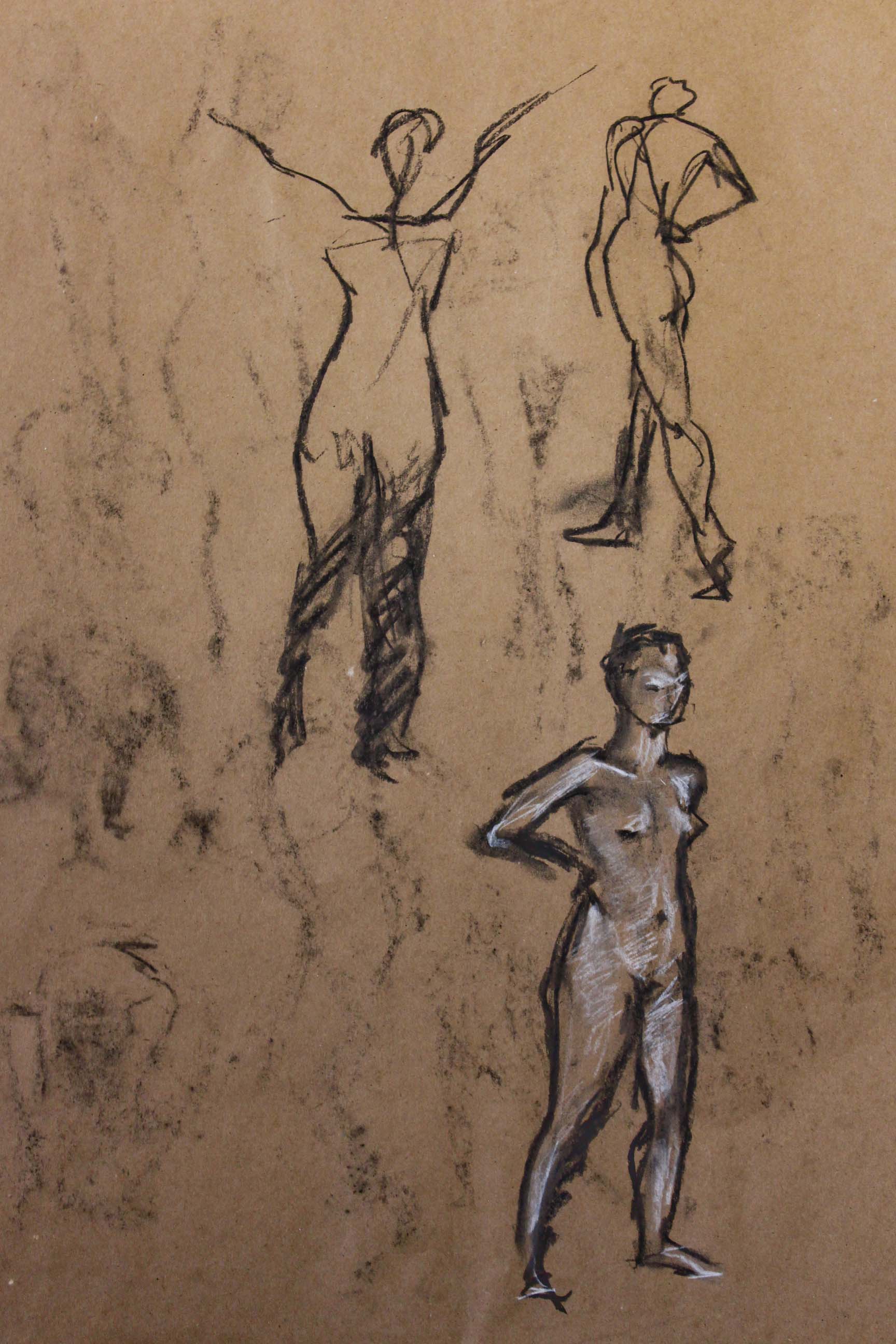 Robin Life Drawing06.jpg