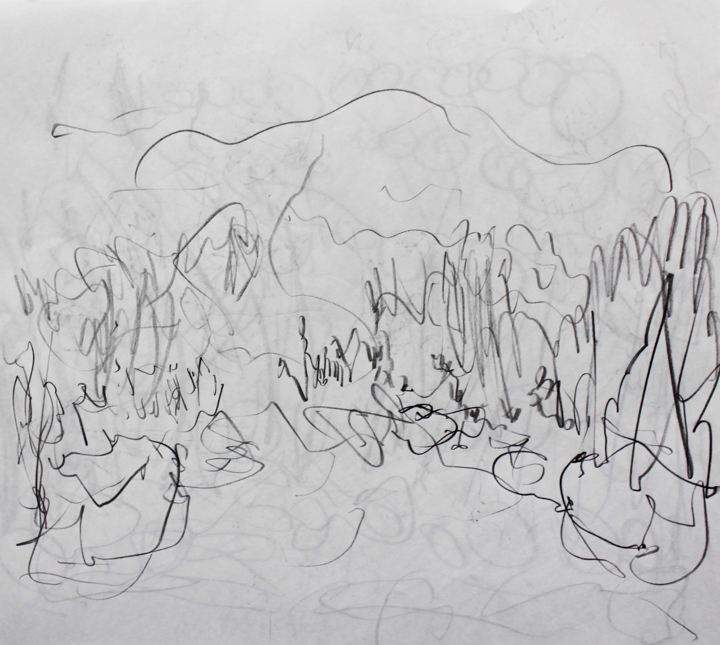 Robin Life Drawing154.jpg