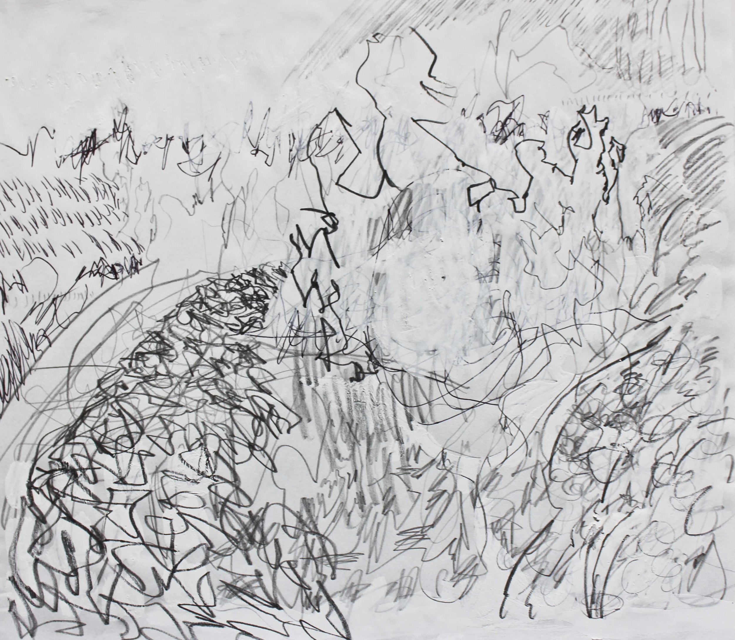Robin Life Drawing142.jpg