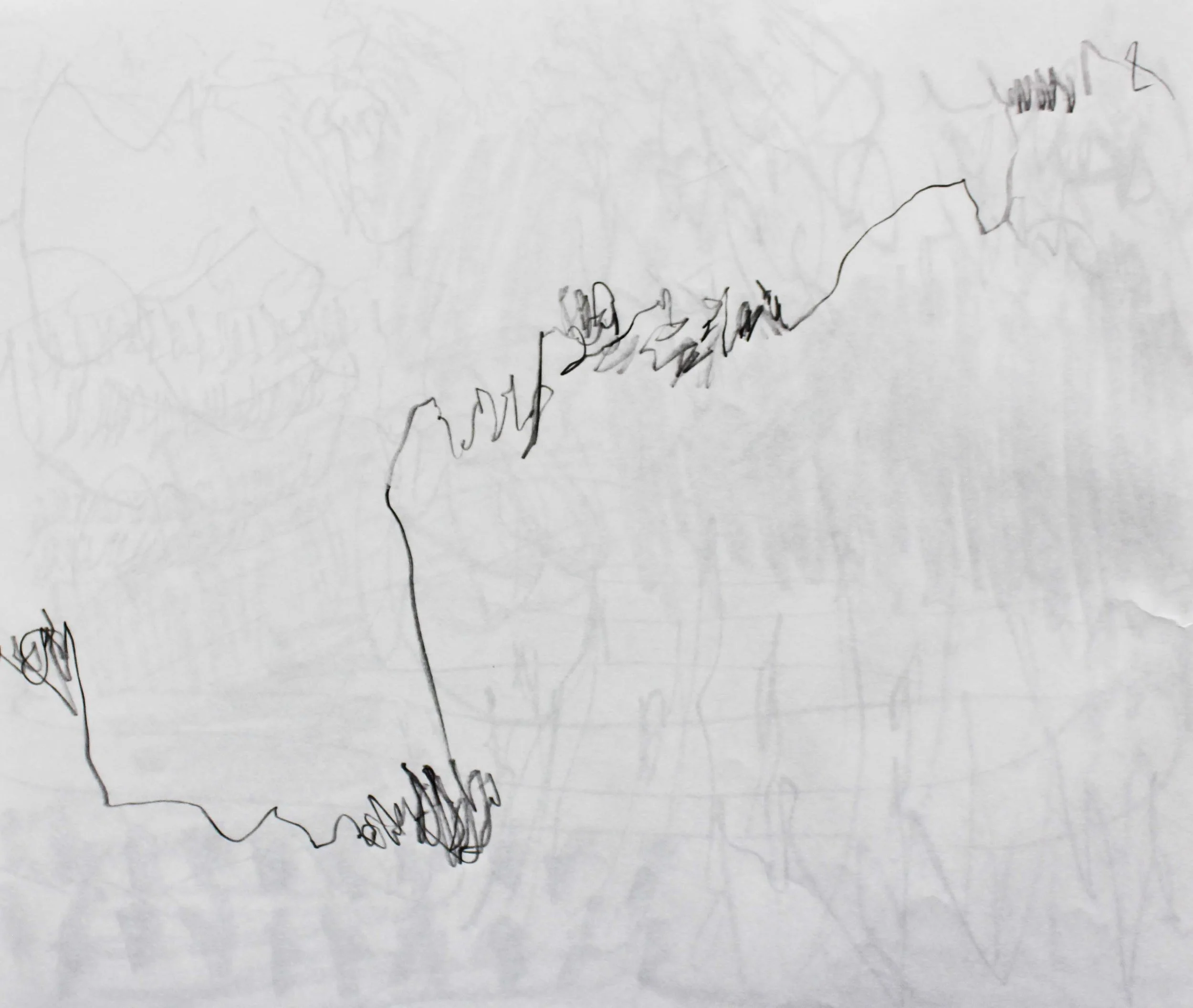 Robin Life Drawing131.jpg