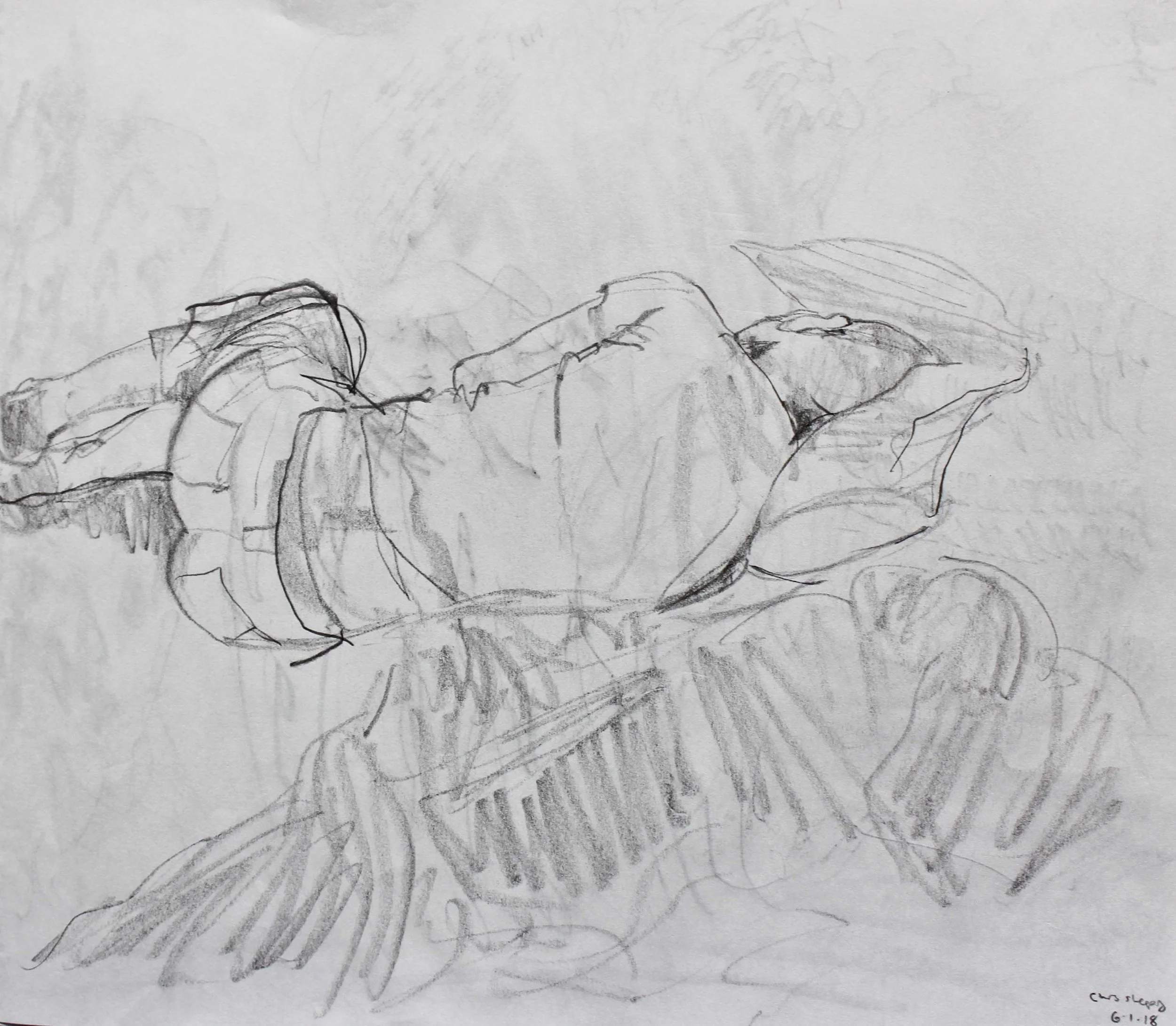 Robin Life Drawing127.jpg