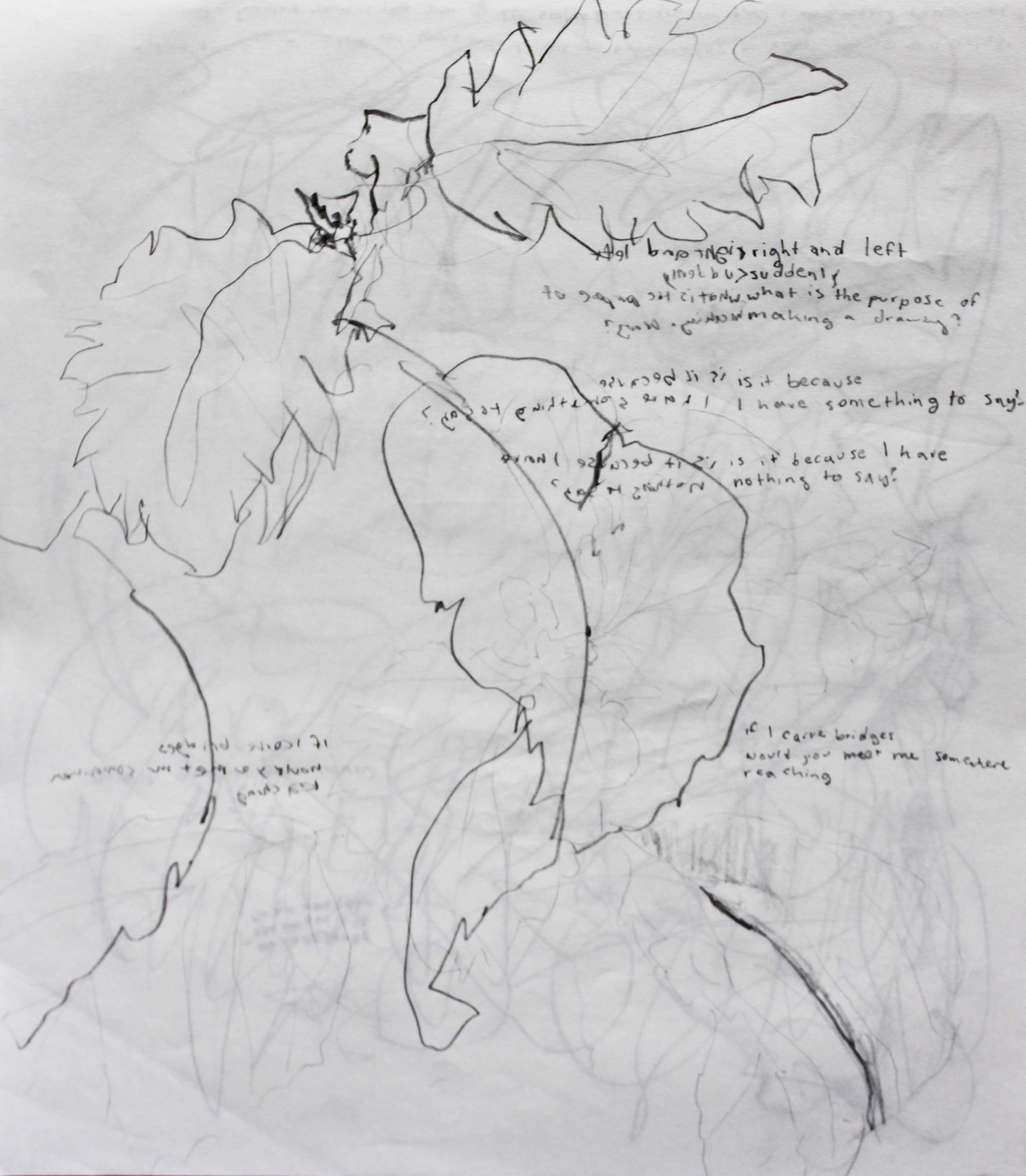 Robin Life Drawing118.jpg