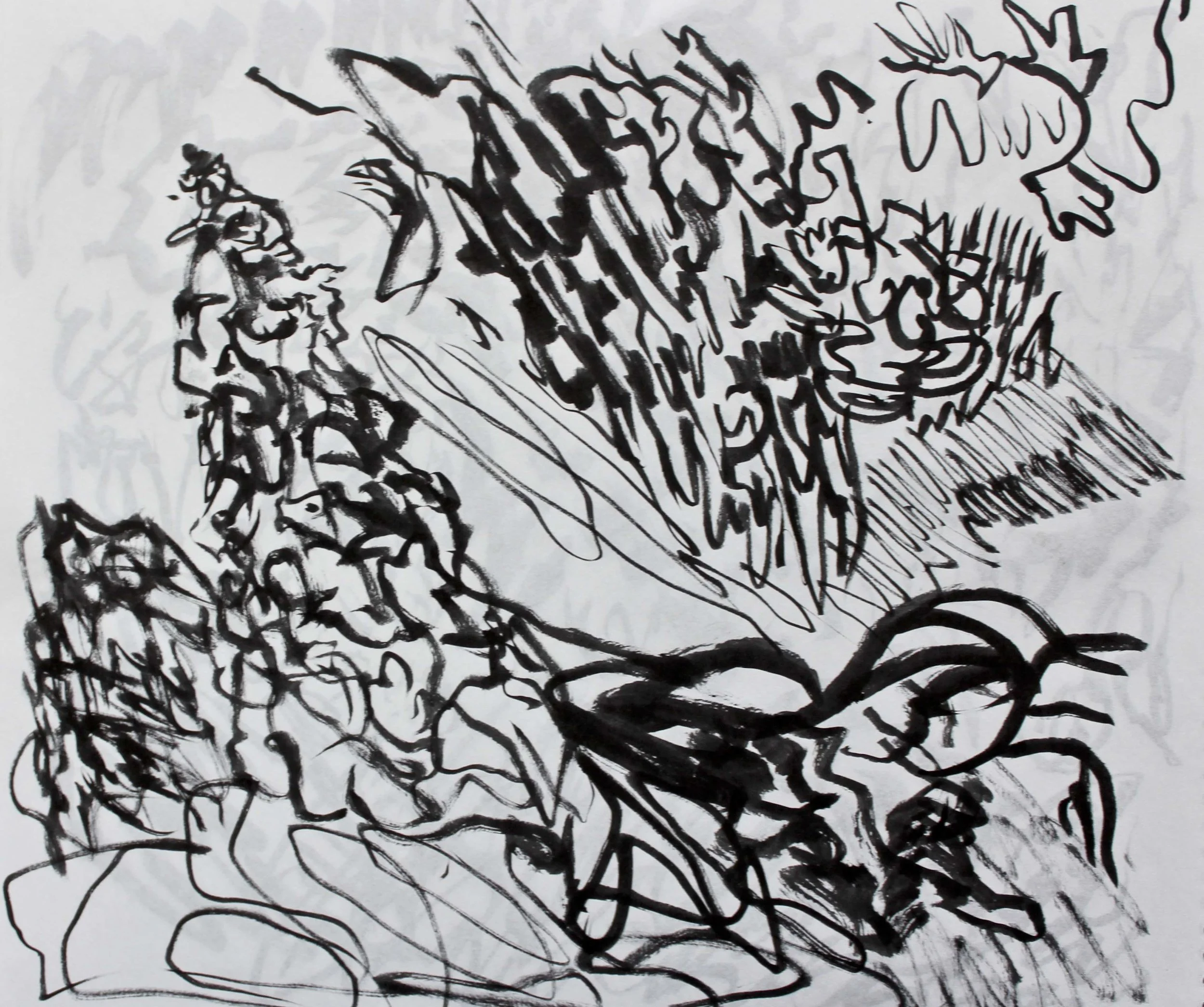 Robin Life Drawing113.jpg