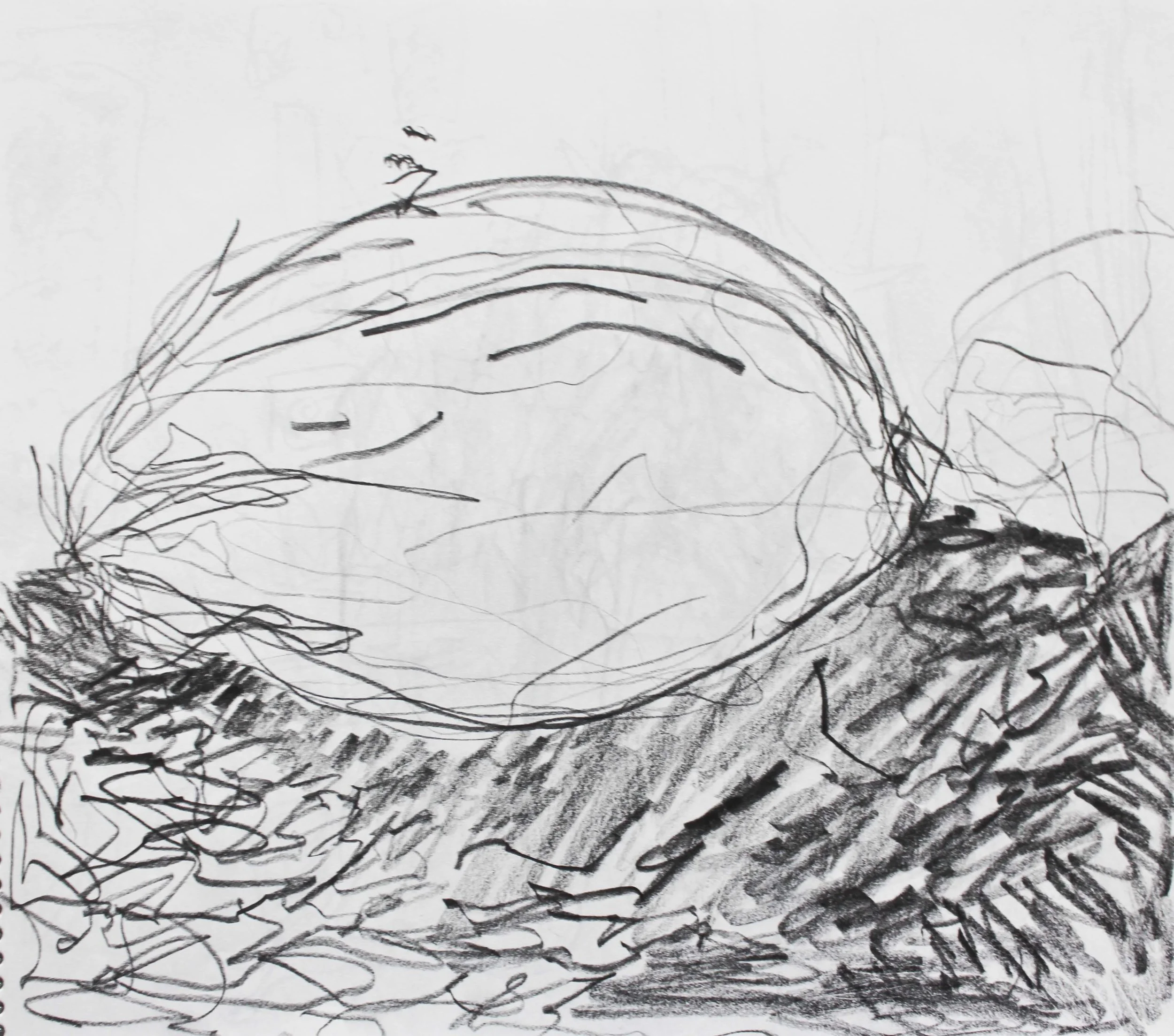 Robin Life Drawing111.jpg