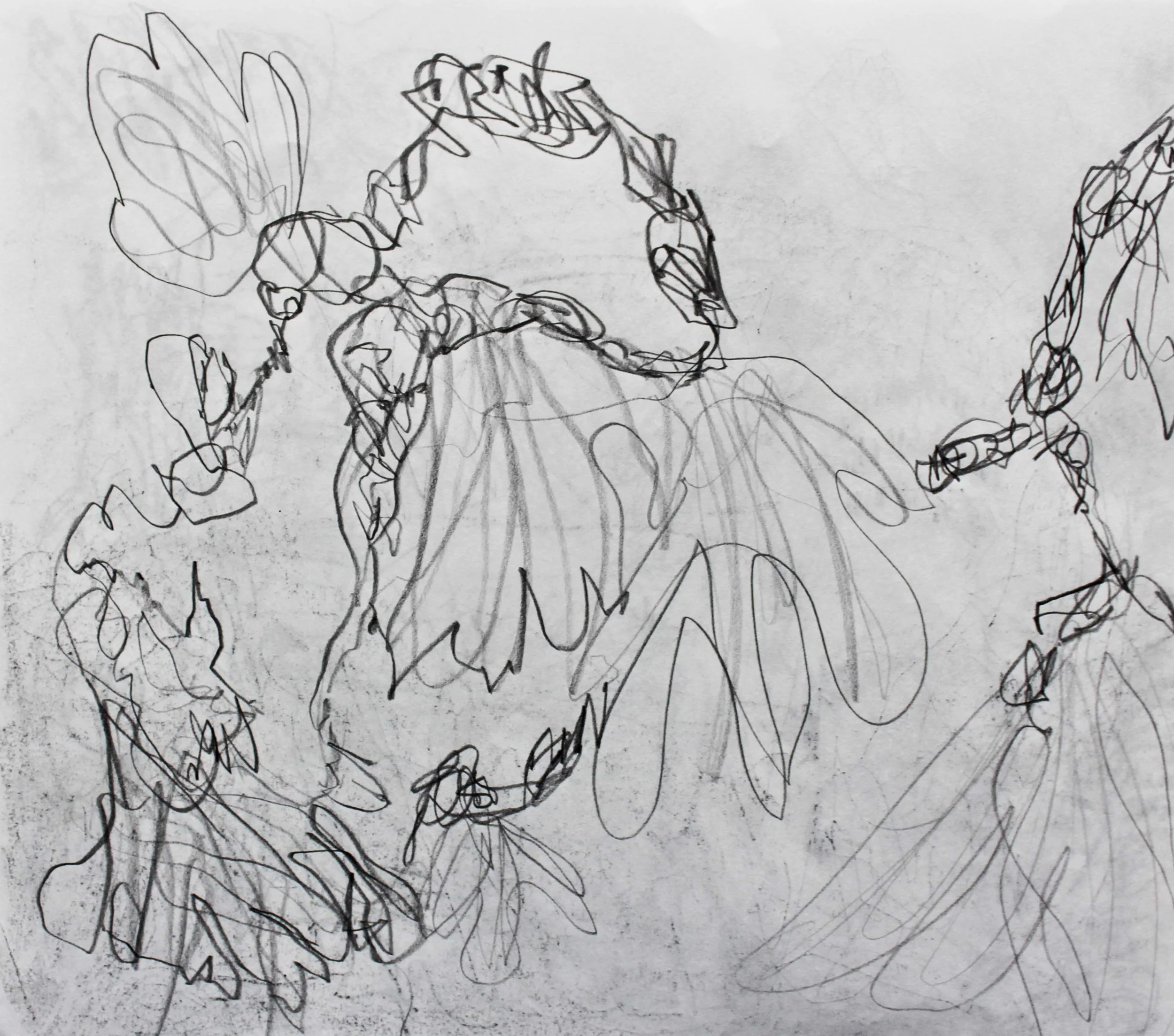 Robin Life Drawing110.jpg