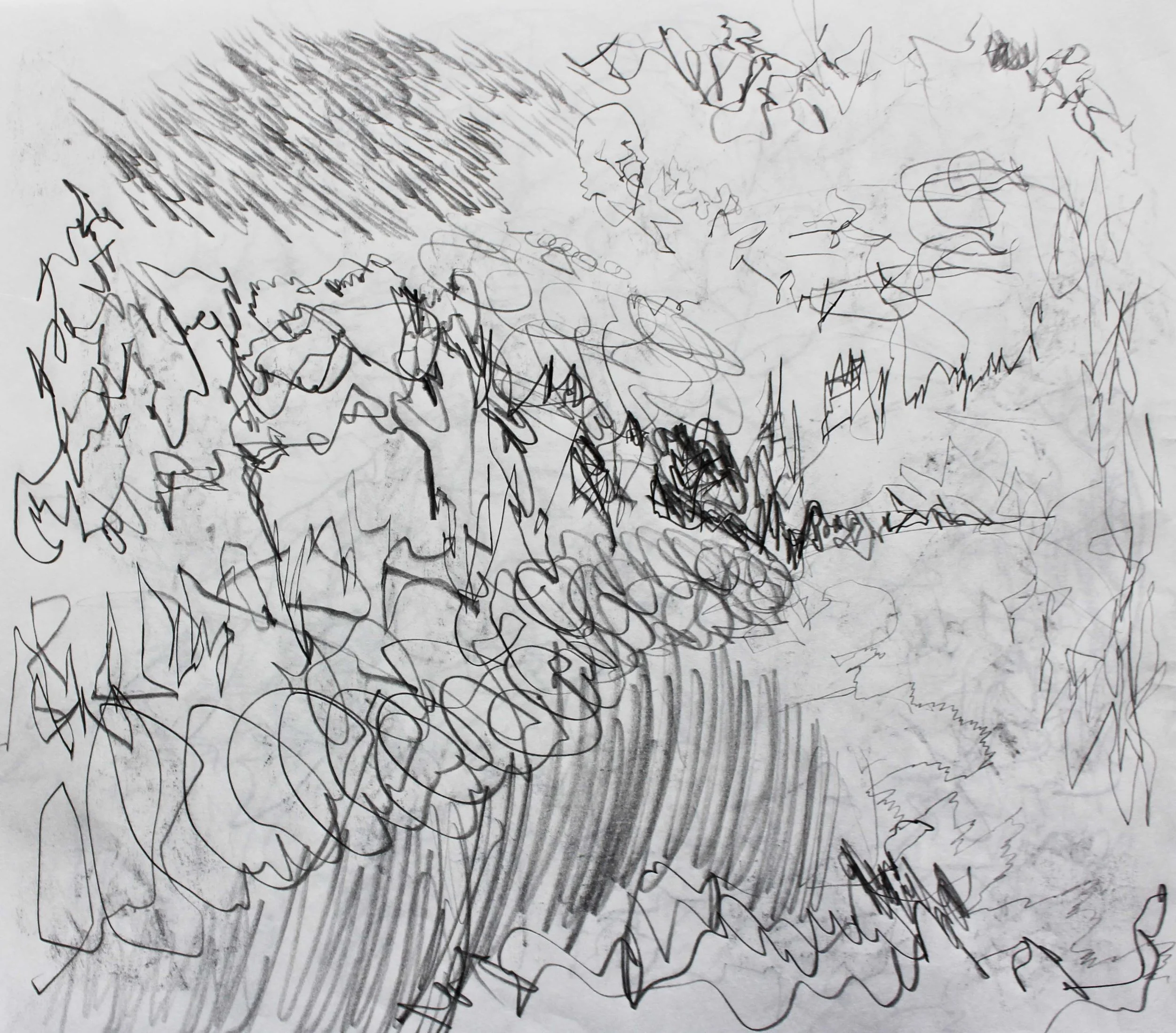 Robin Life Drawing106.jpg