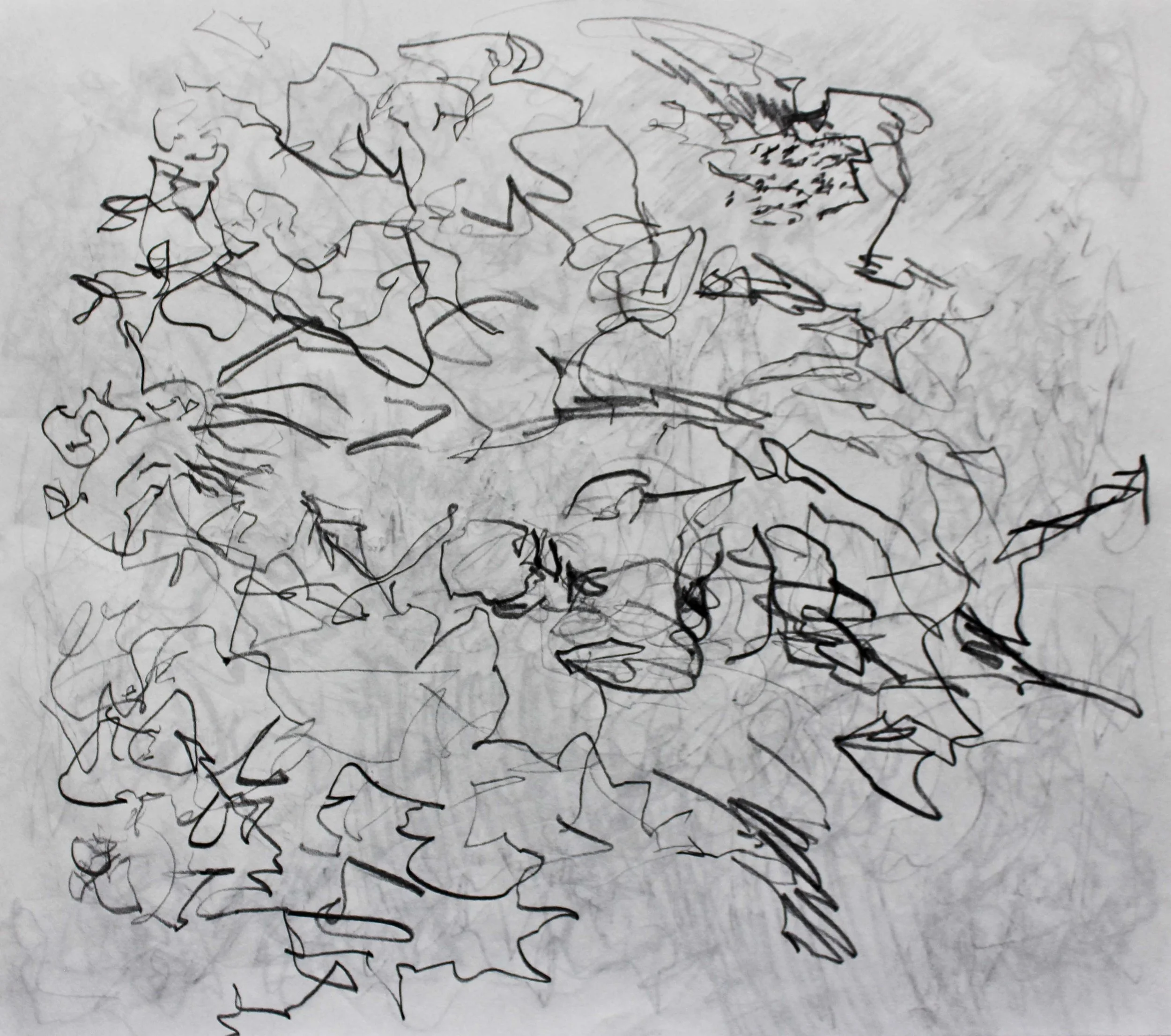 Robin Life Drawing105.jpg