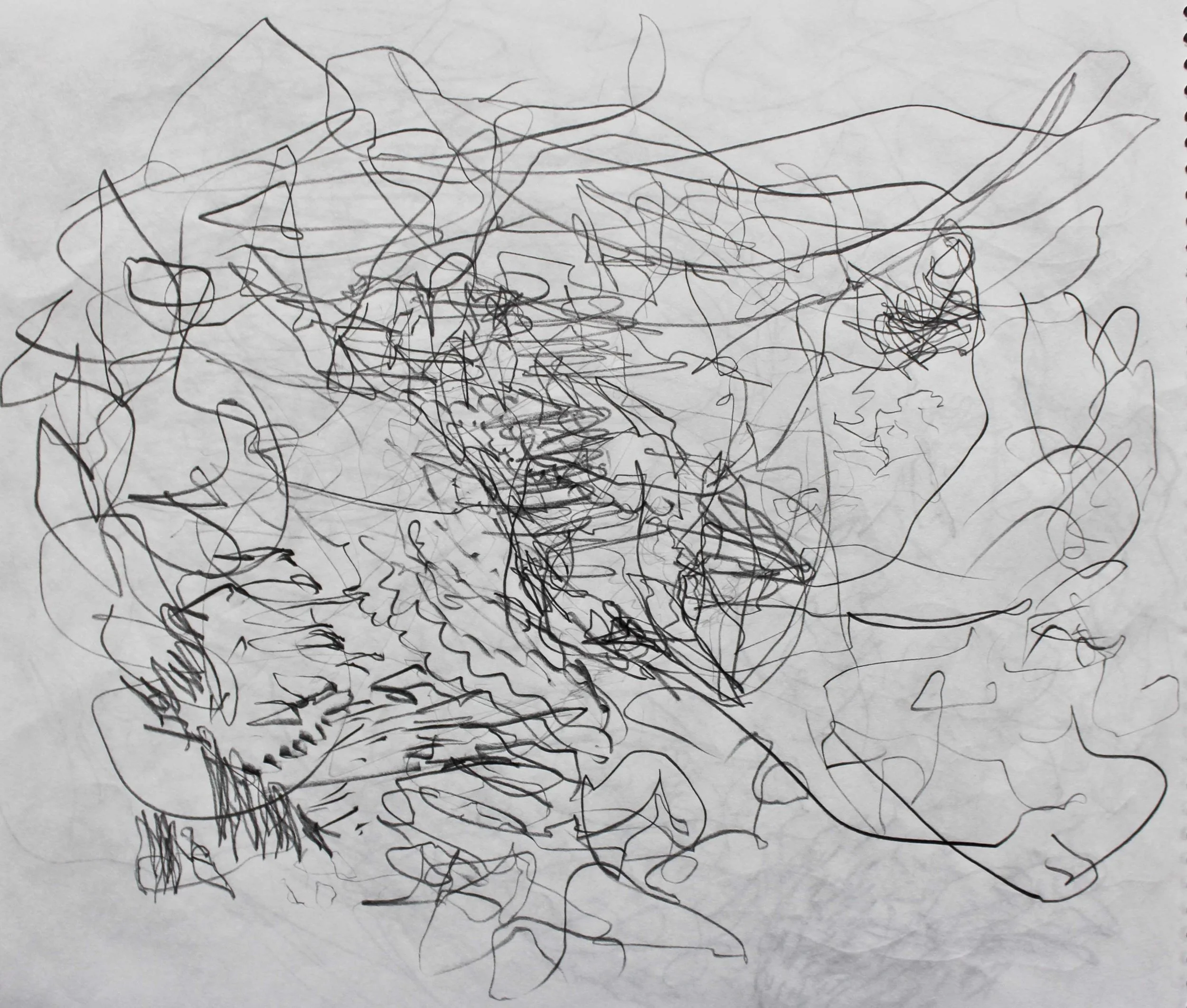 Robin Life Drawing103.jpg