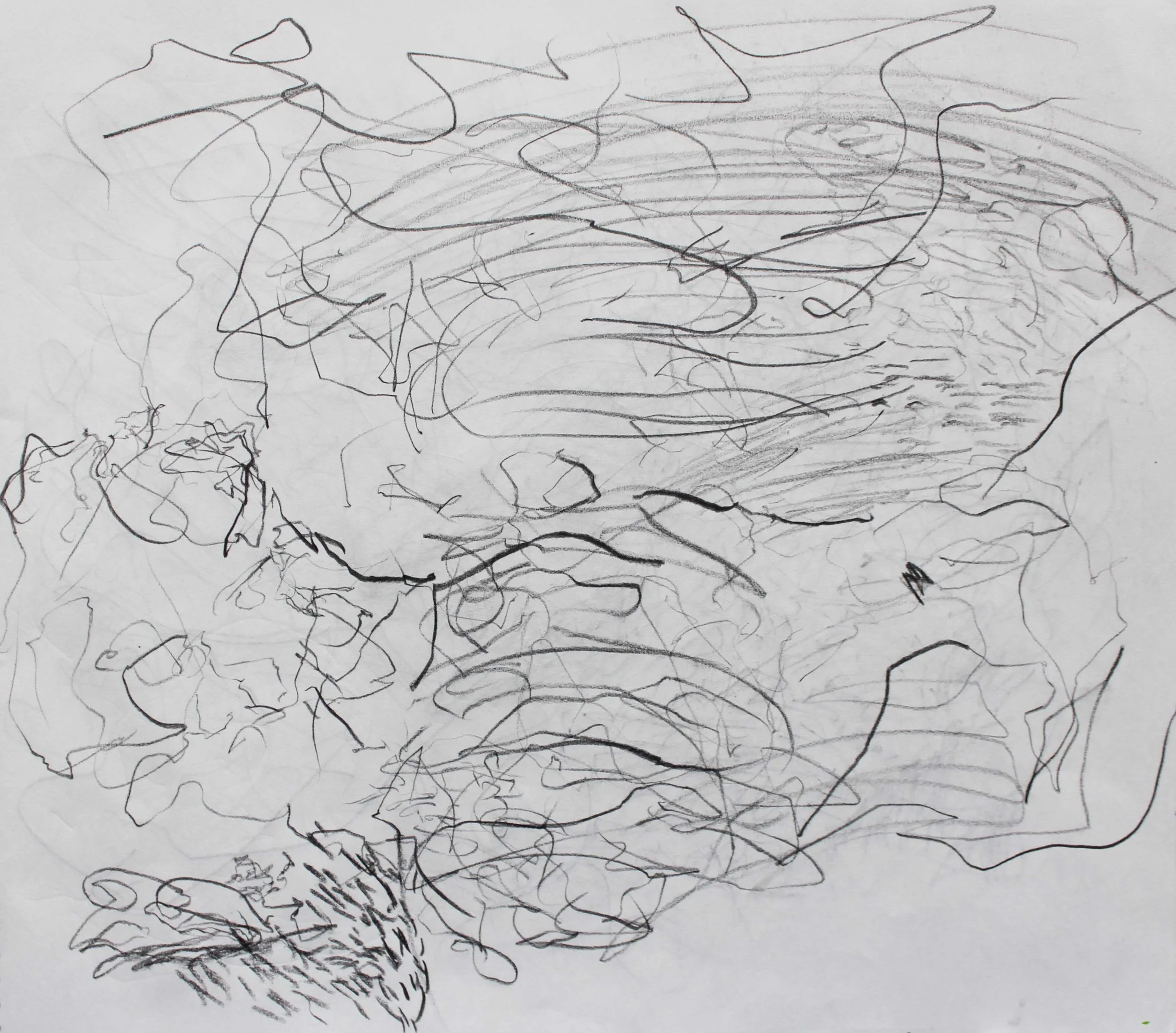 Robin Life Drawing102.jpg