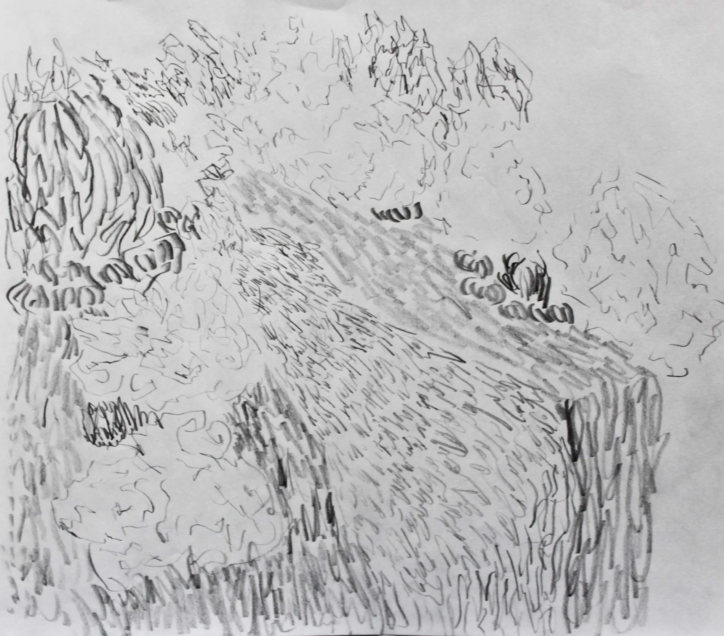 Robin Life Drawing100.jpg