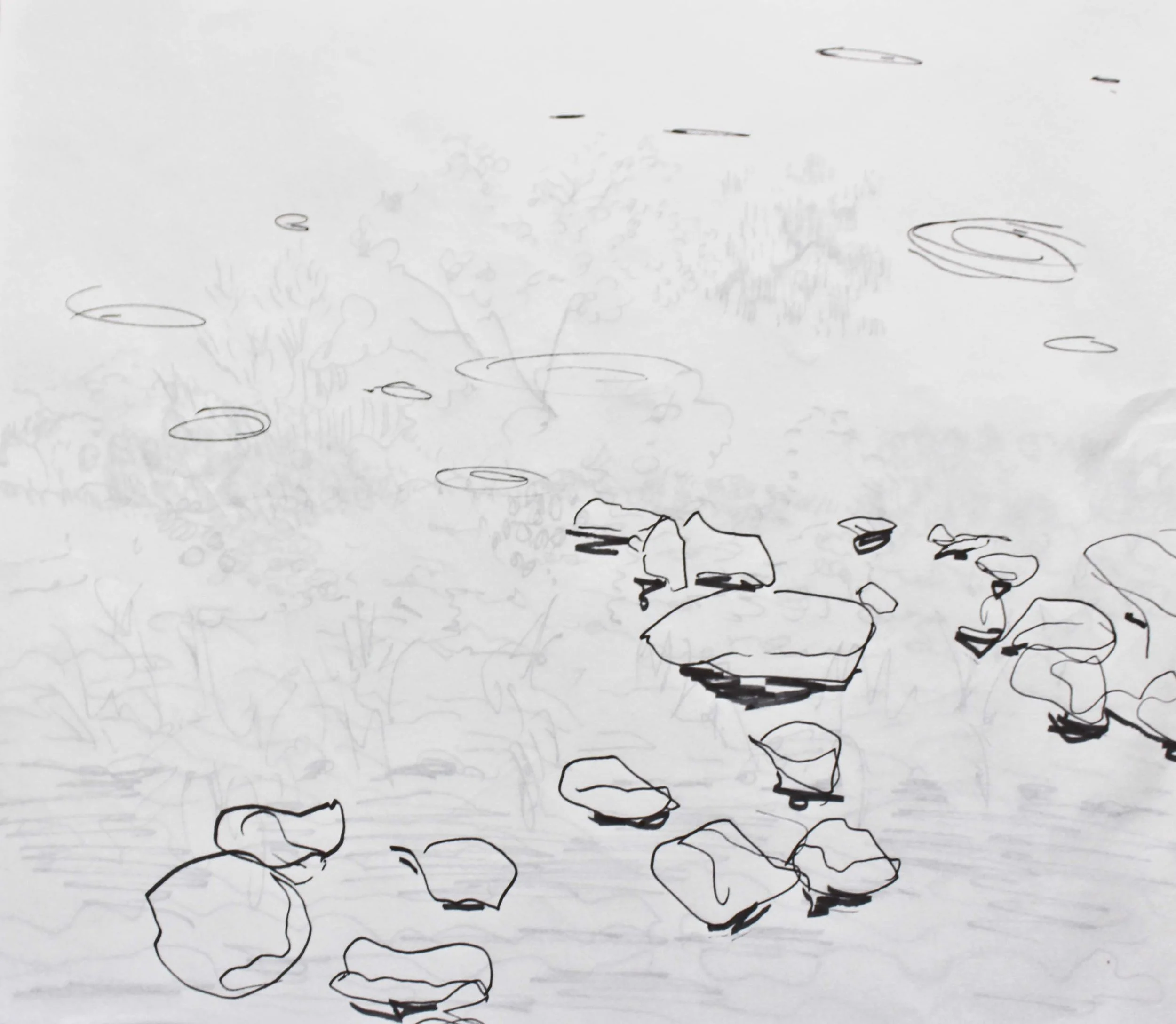 Robin Life Drawing99.jpg