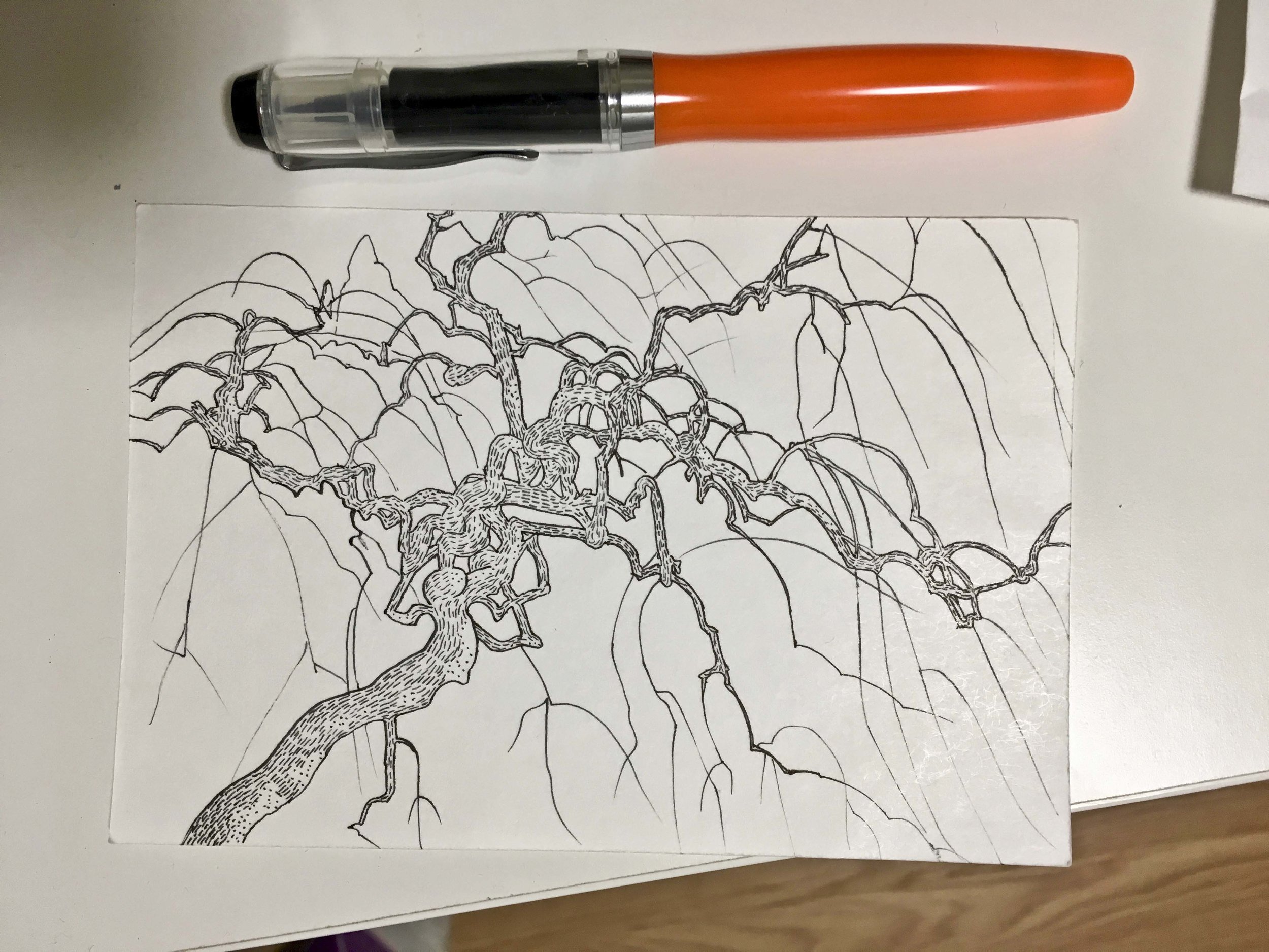 Robin Life Drawing71.jpg