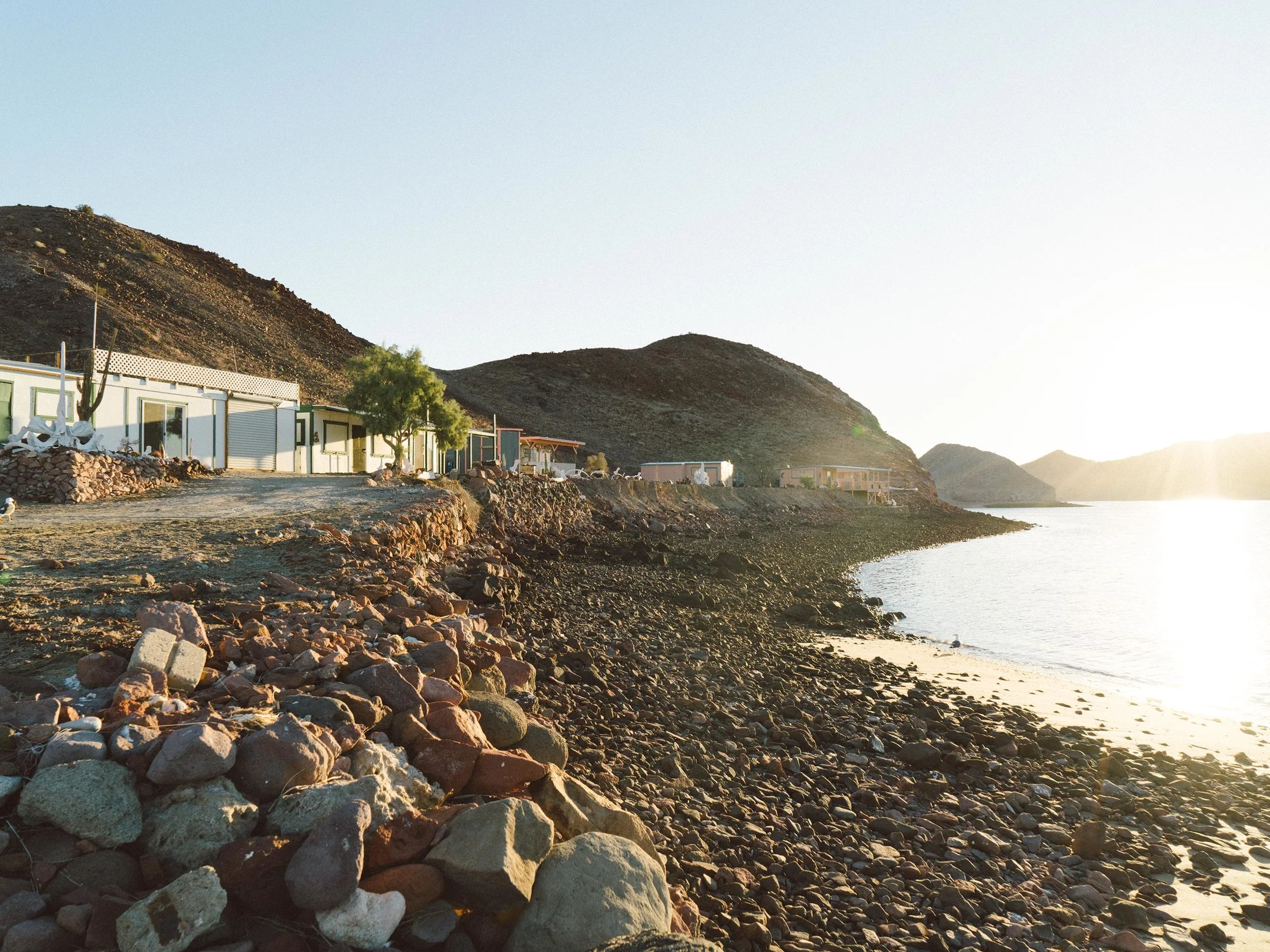 Cacti, weathered whale vertebrae, and a whole lot of soul call these shores along the estero home.