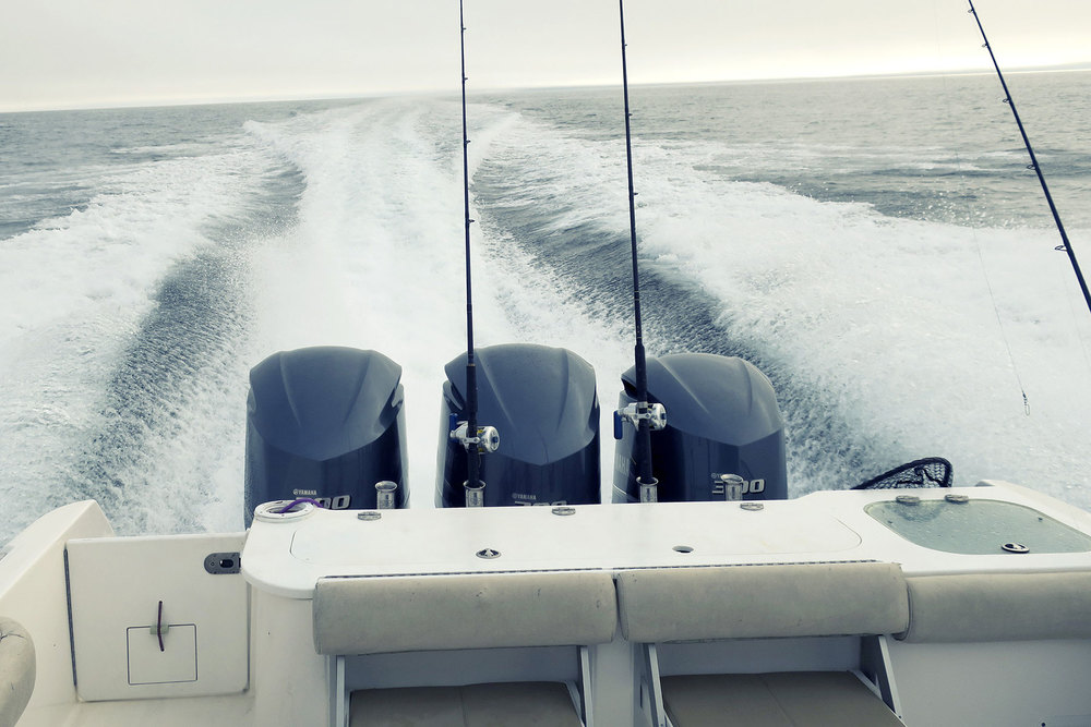  The fastest boat in Alaska. &nbsp;Literally.&nbsp; 