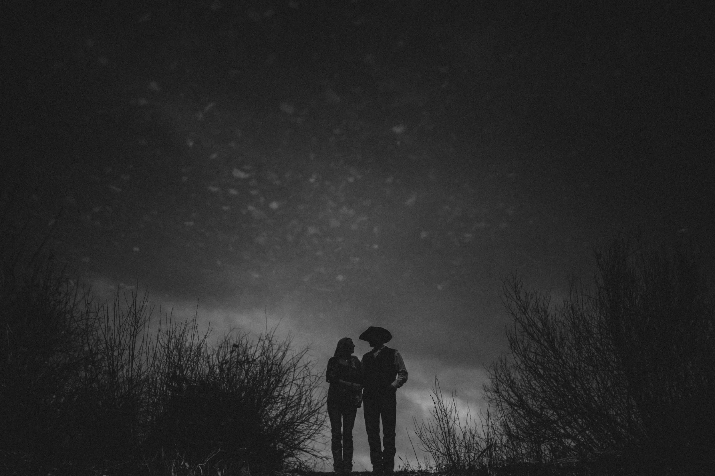 039 (1 of 1).jpg