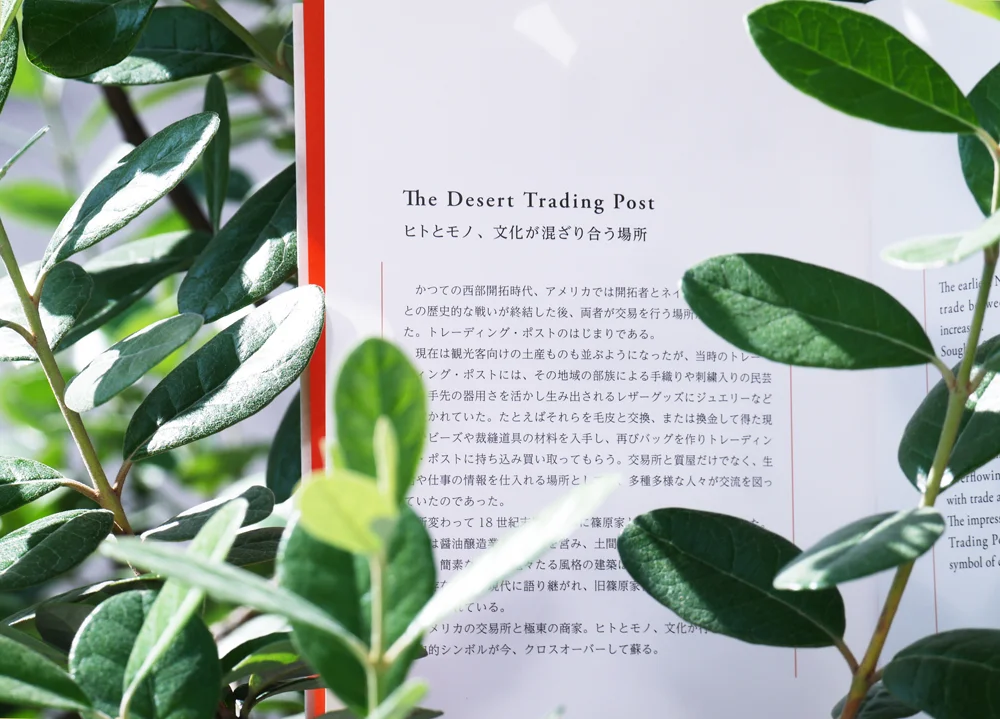 201509222.jpg