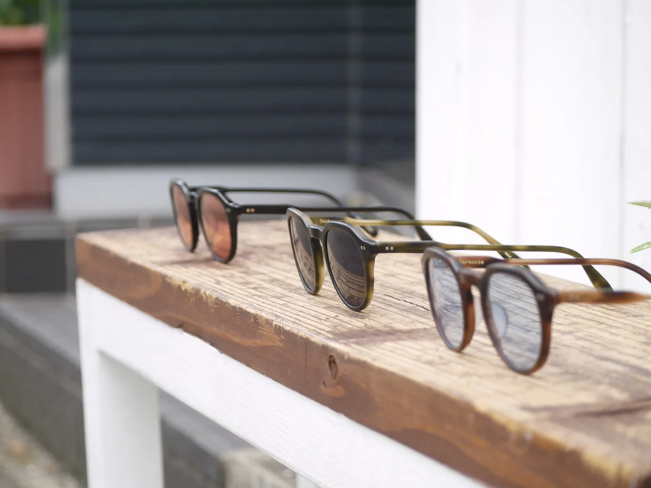 Buddy Optical SUNGLASSES