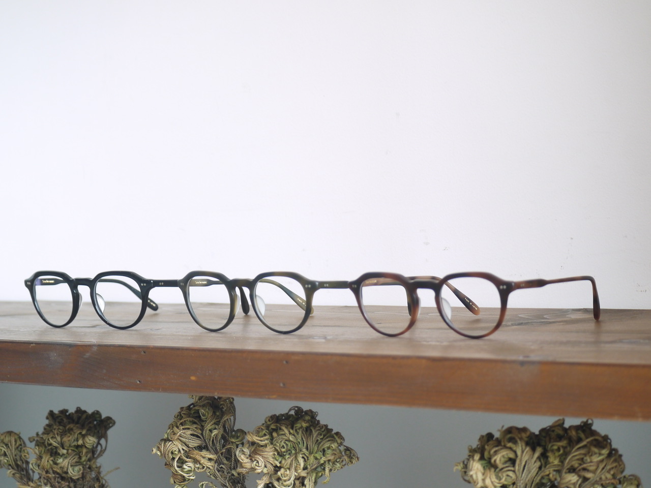 Buddy Optical EYE WEAR 