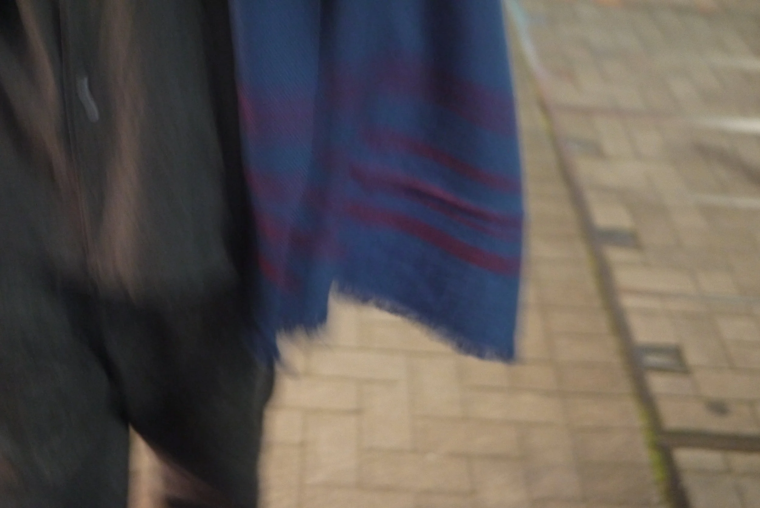 P1930571.JPG