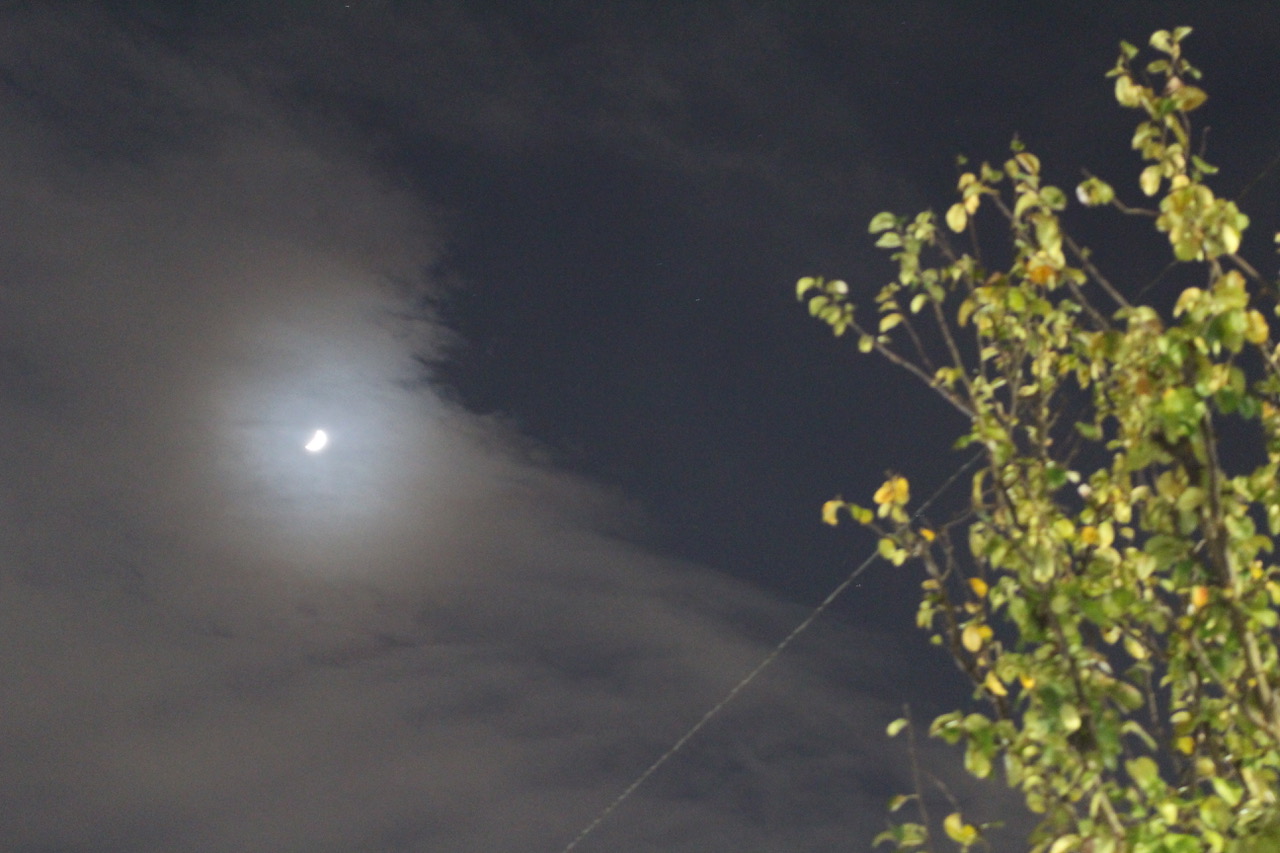 toff × COMOLI + R&NT.co 