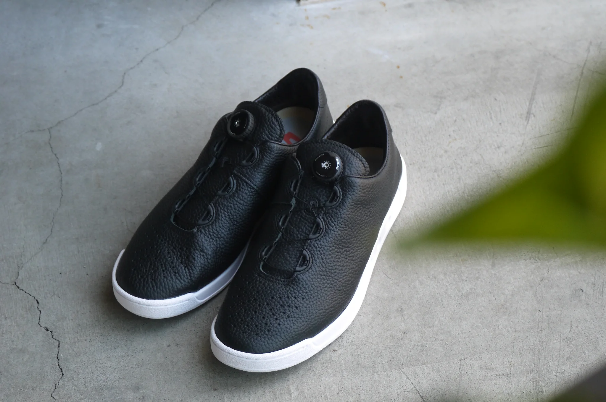 SALE "OISHII" ITEM #4