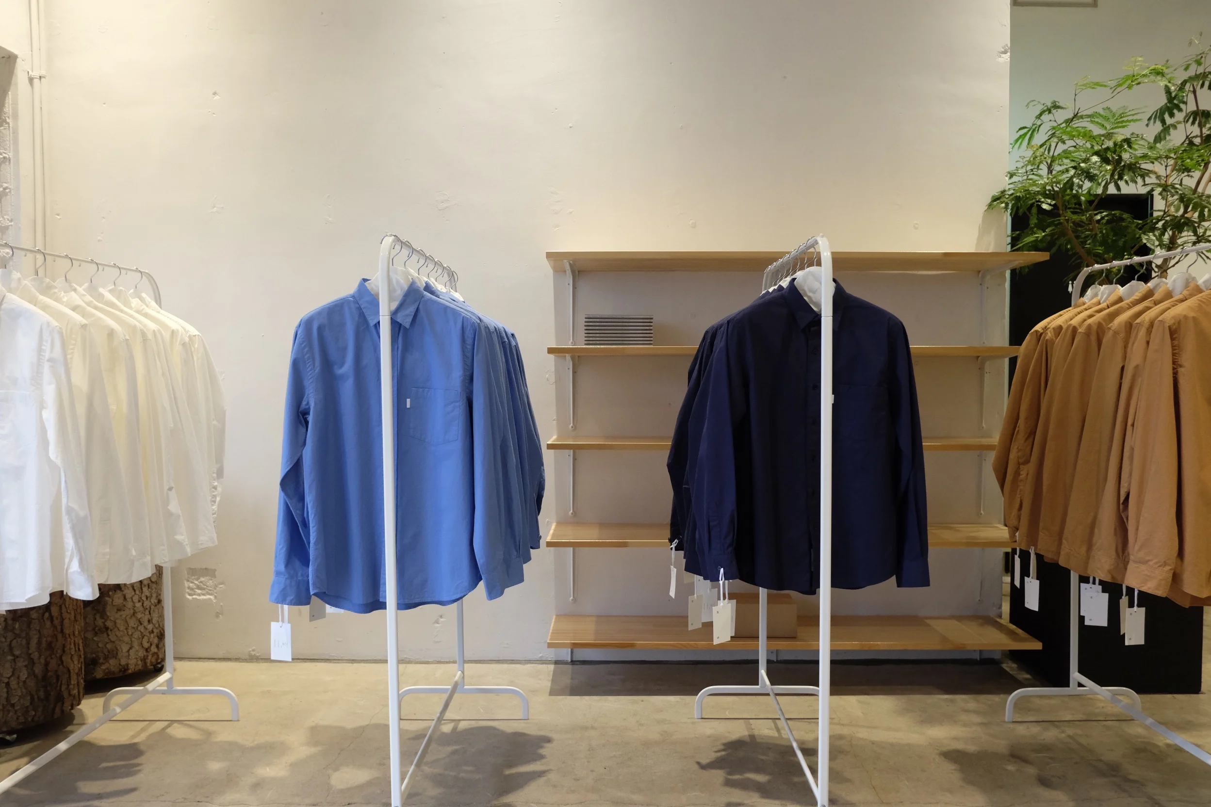 toff director blog #21