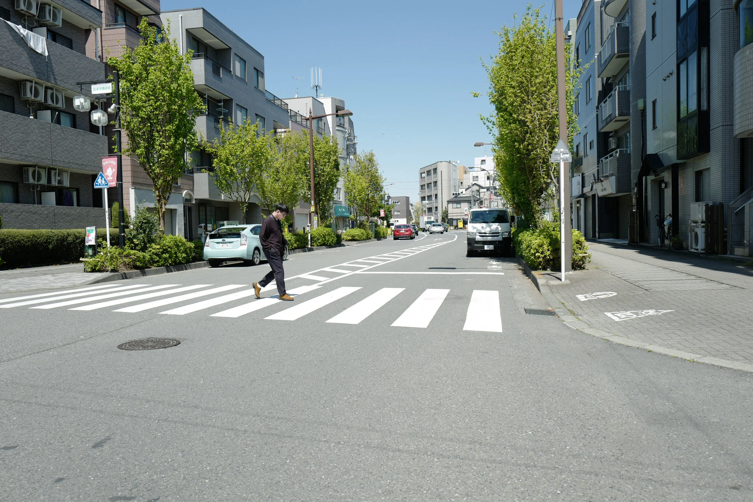 toff  spring STYLE #1