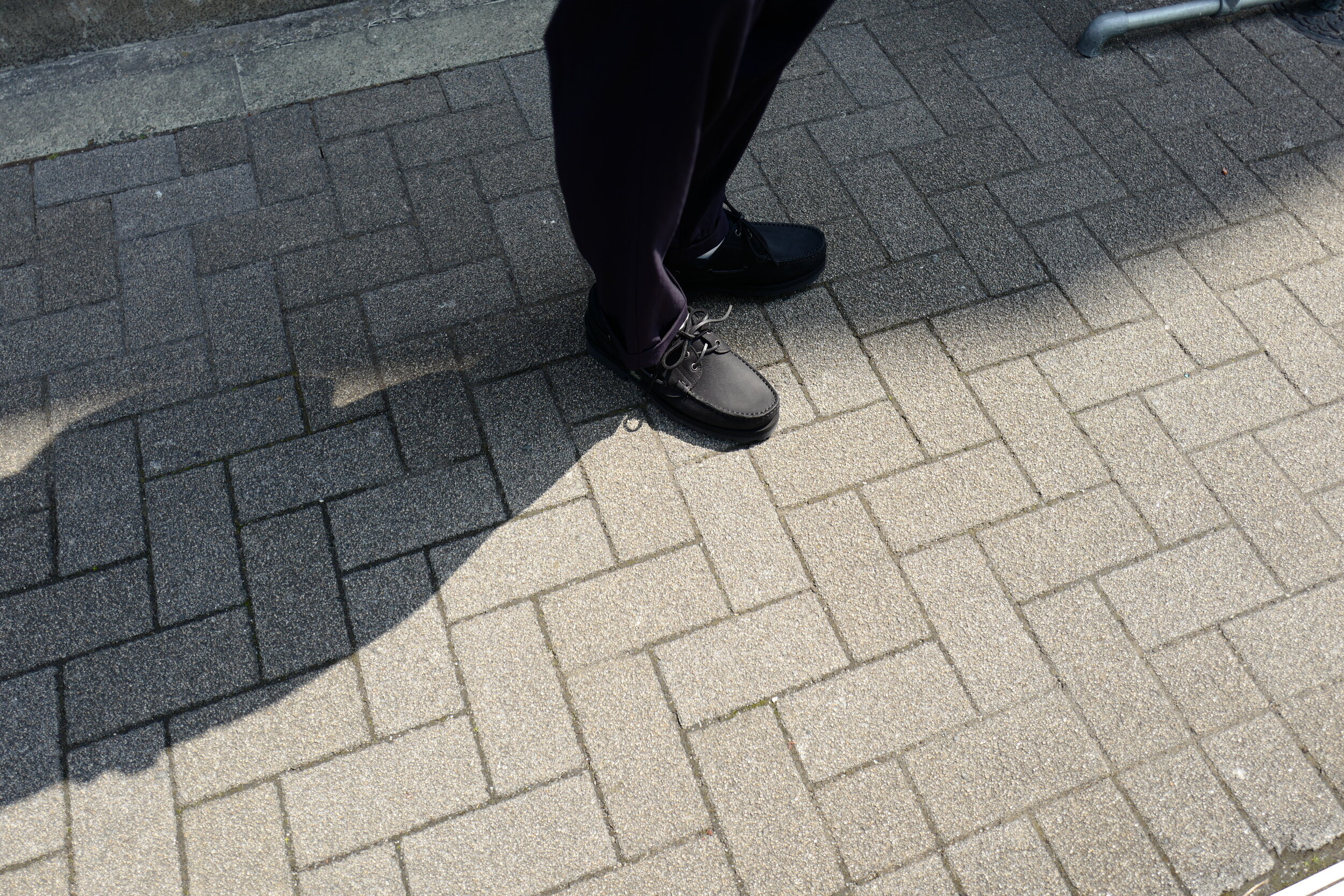 L1620696.jpeg