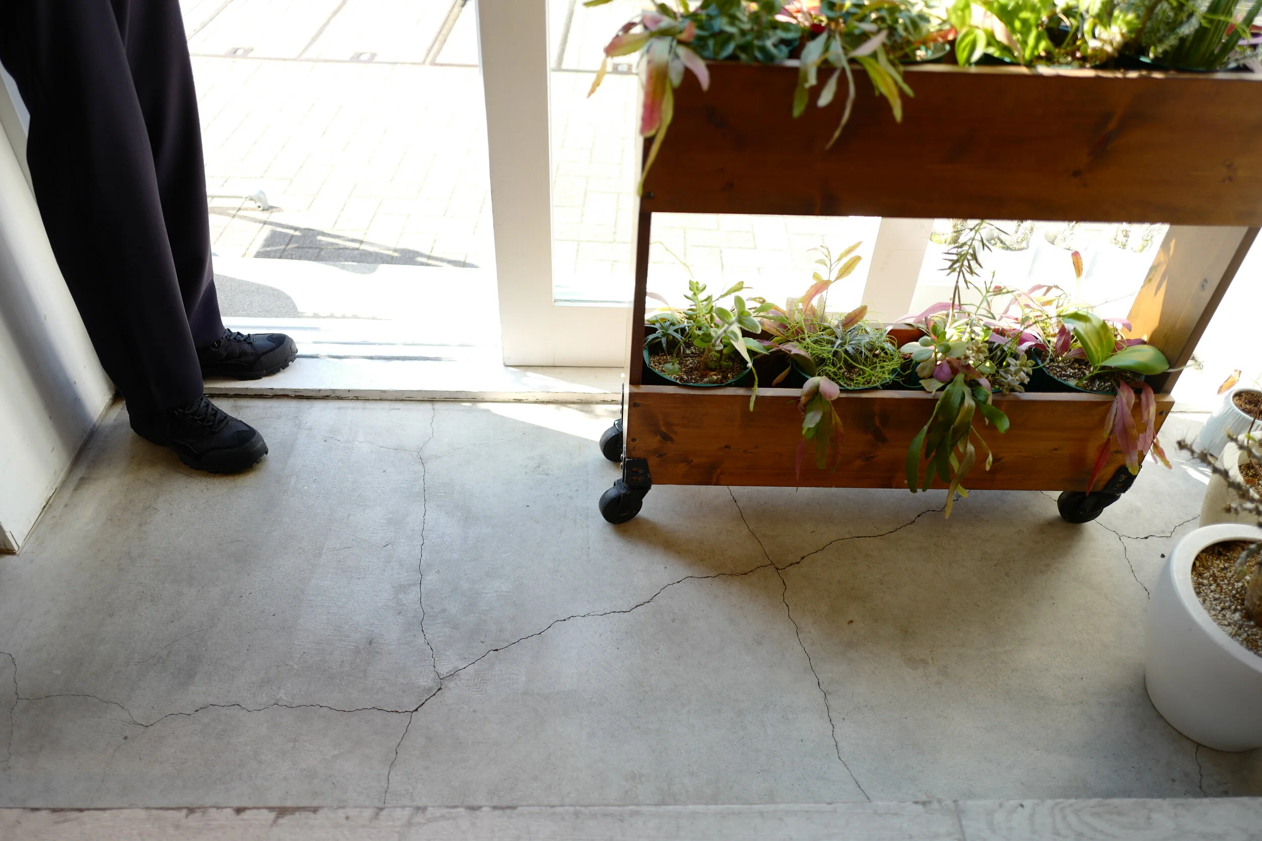 toff "A to Z" -INOV-8-