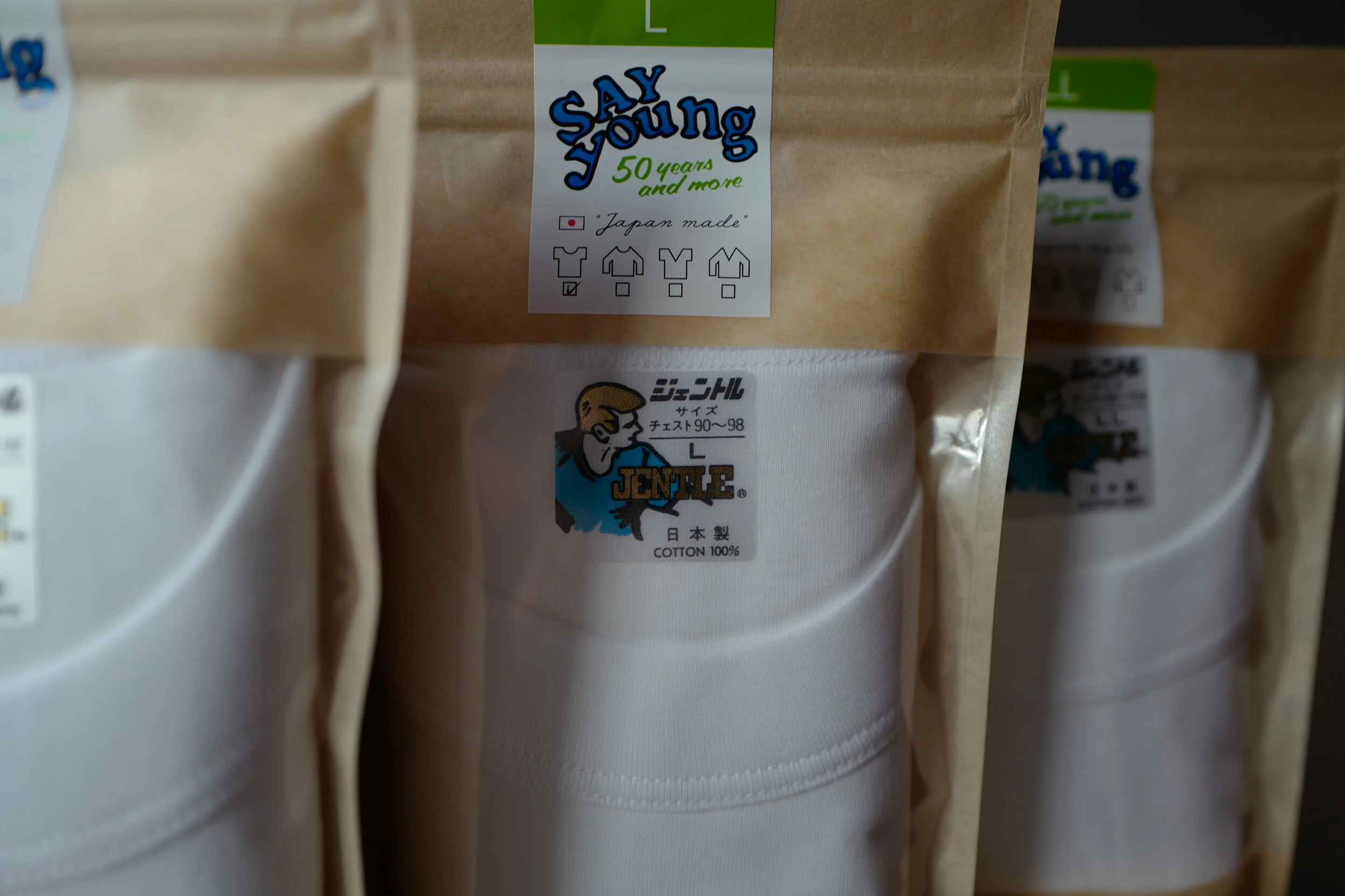 セイヤング再び