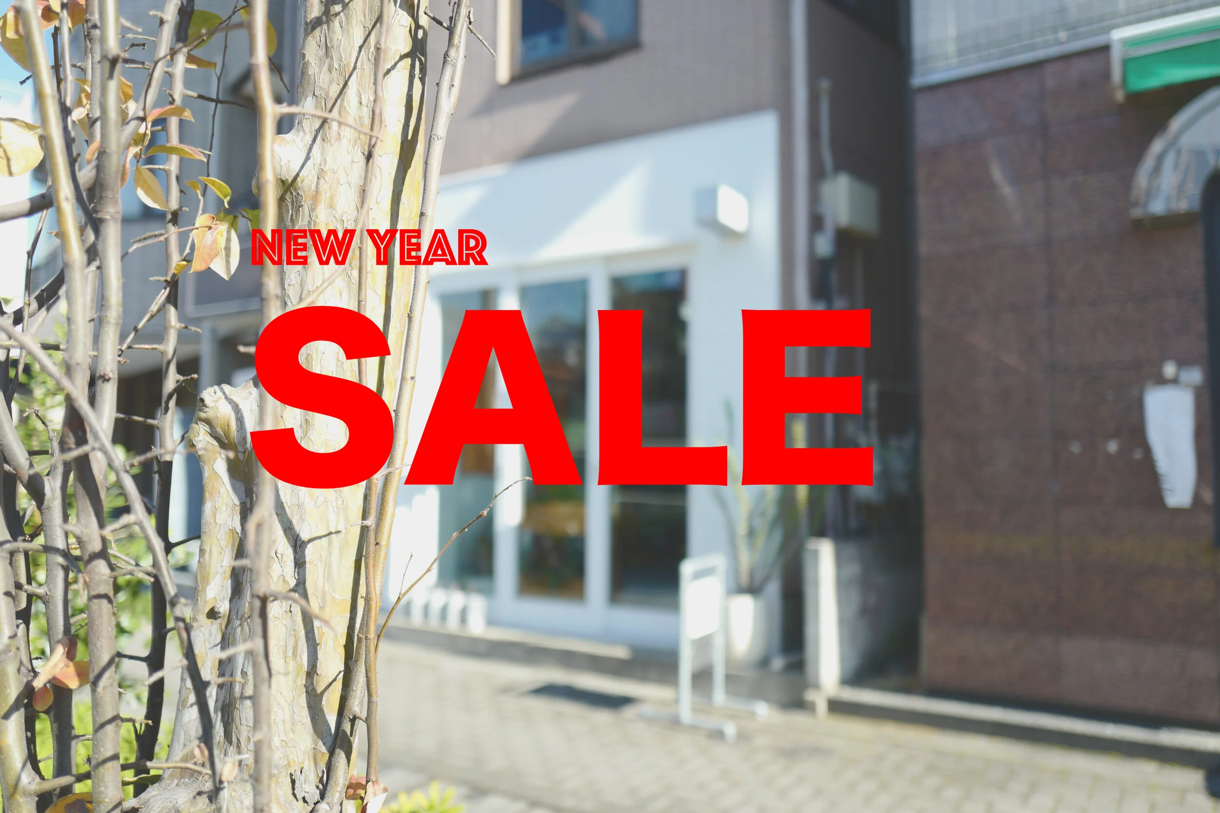 新年の一発目に…