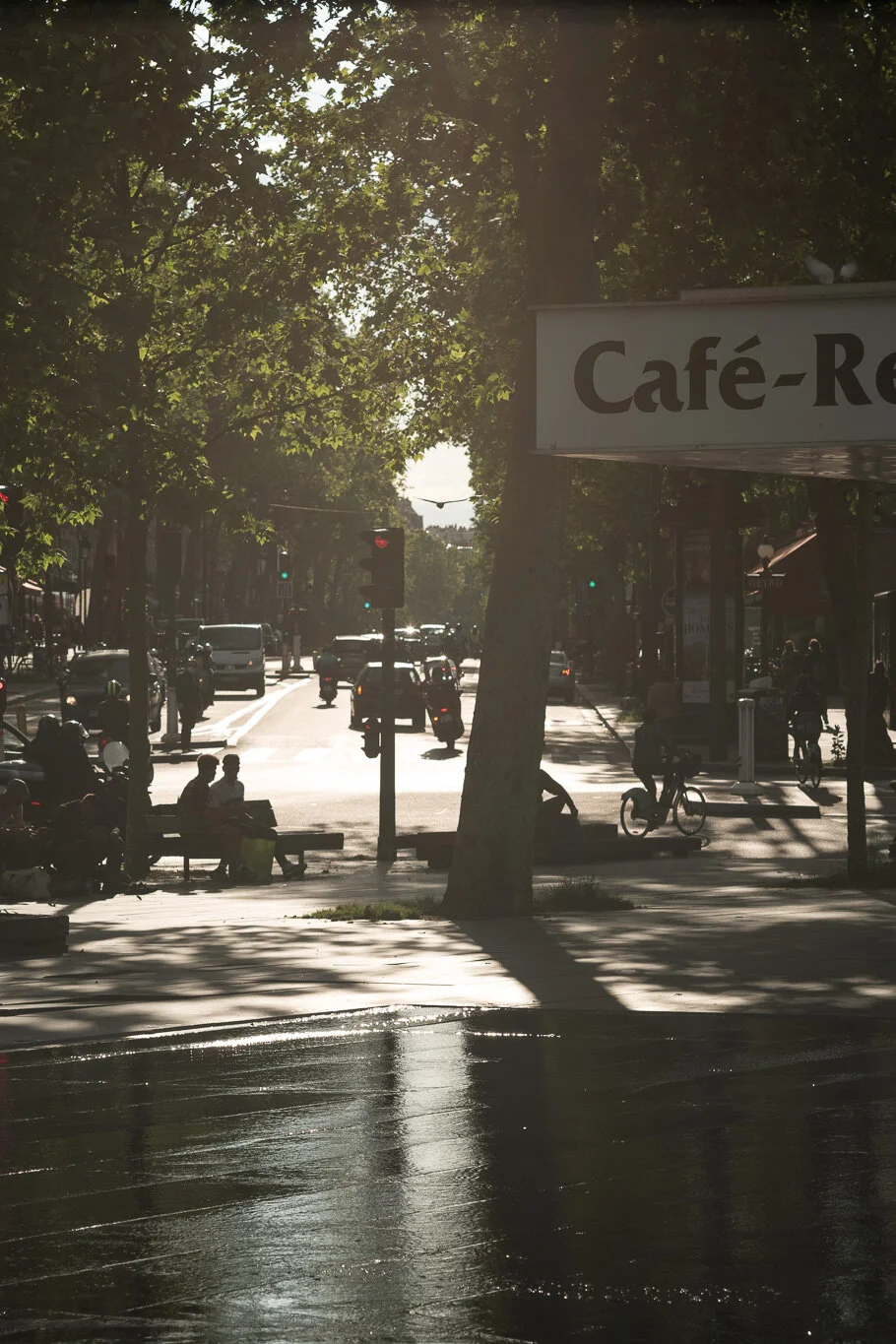 TF director blog #49