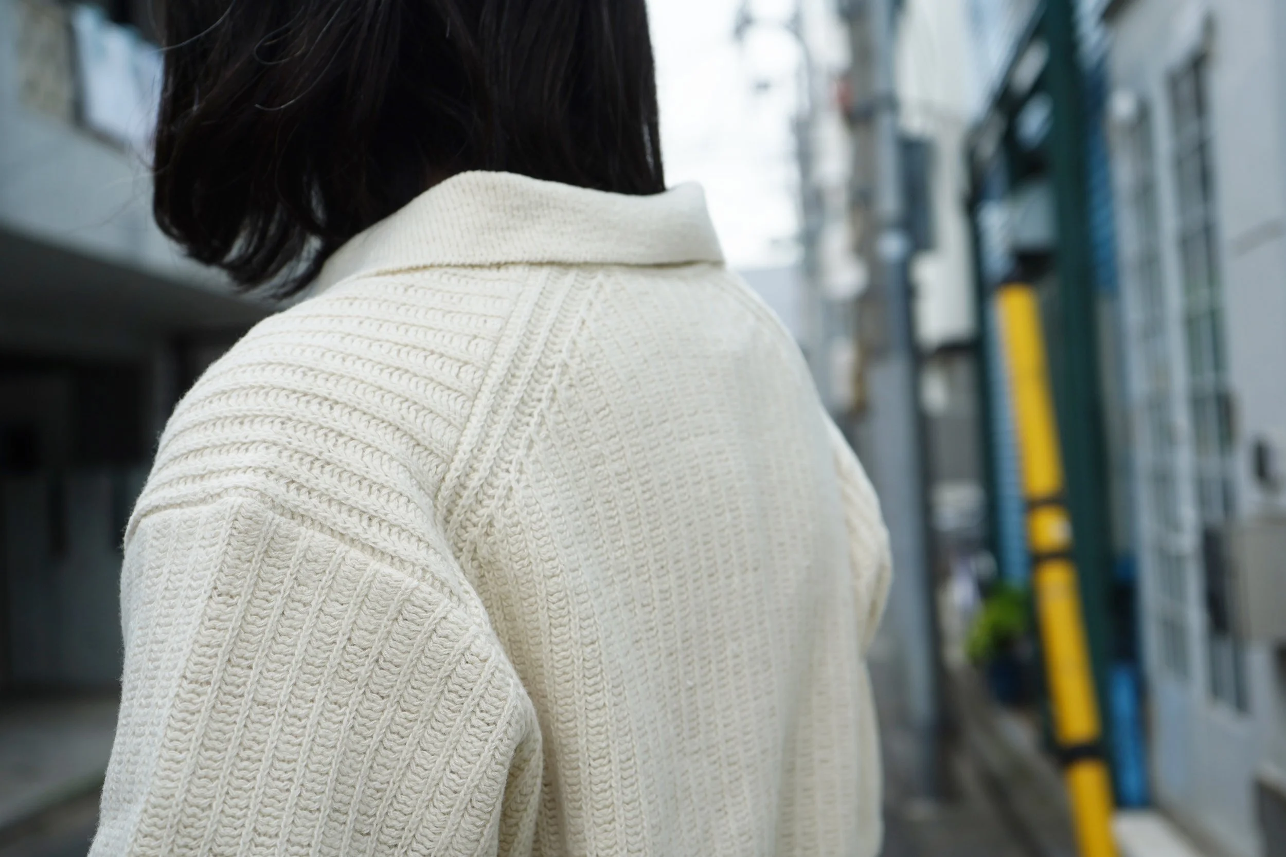 AURALEE BRUSHED COTTON WOOL RIB KNIT SKIPPER POLO — TF Blog