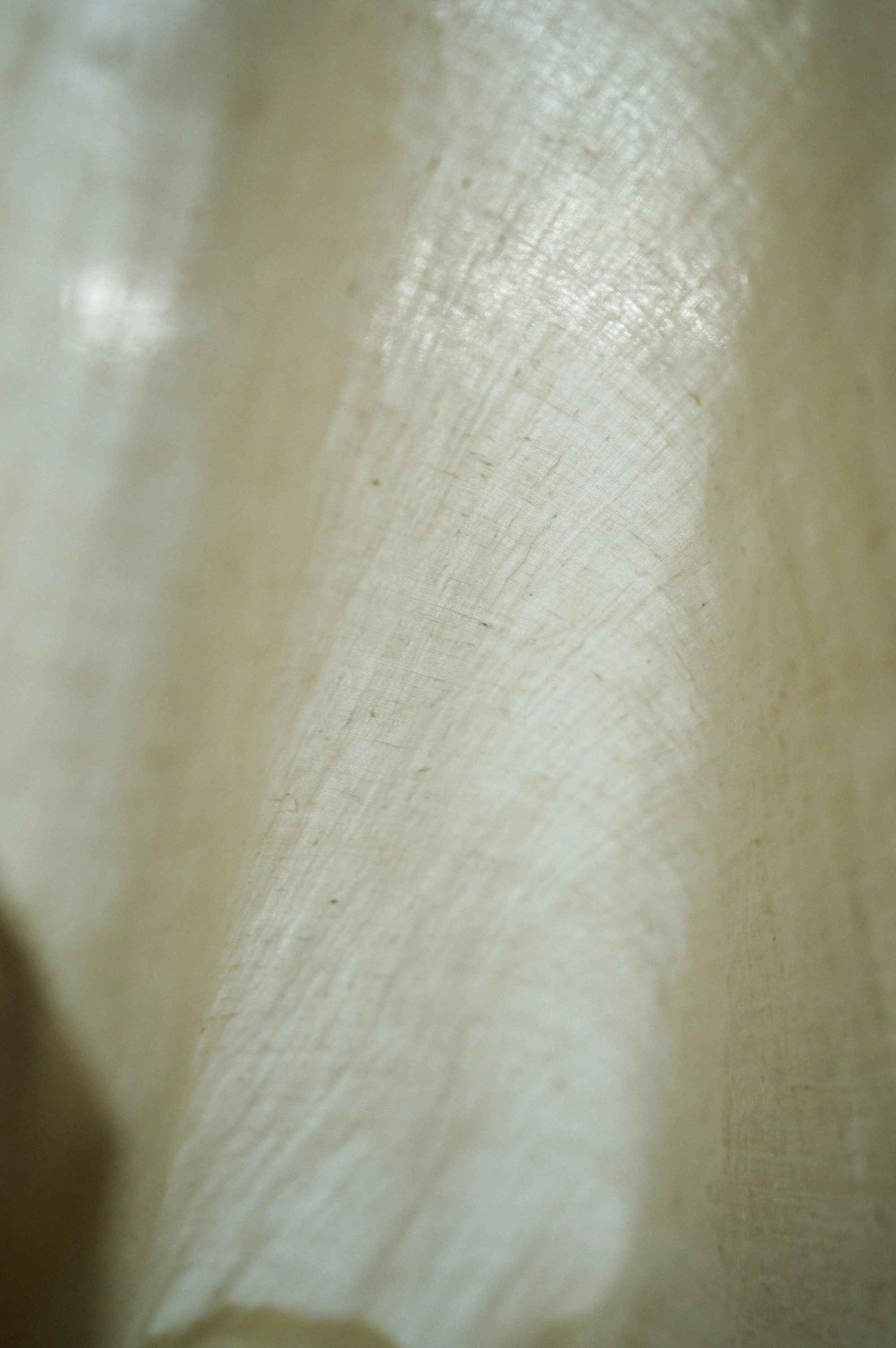 人生変えちゃう夏かもね