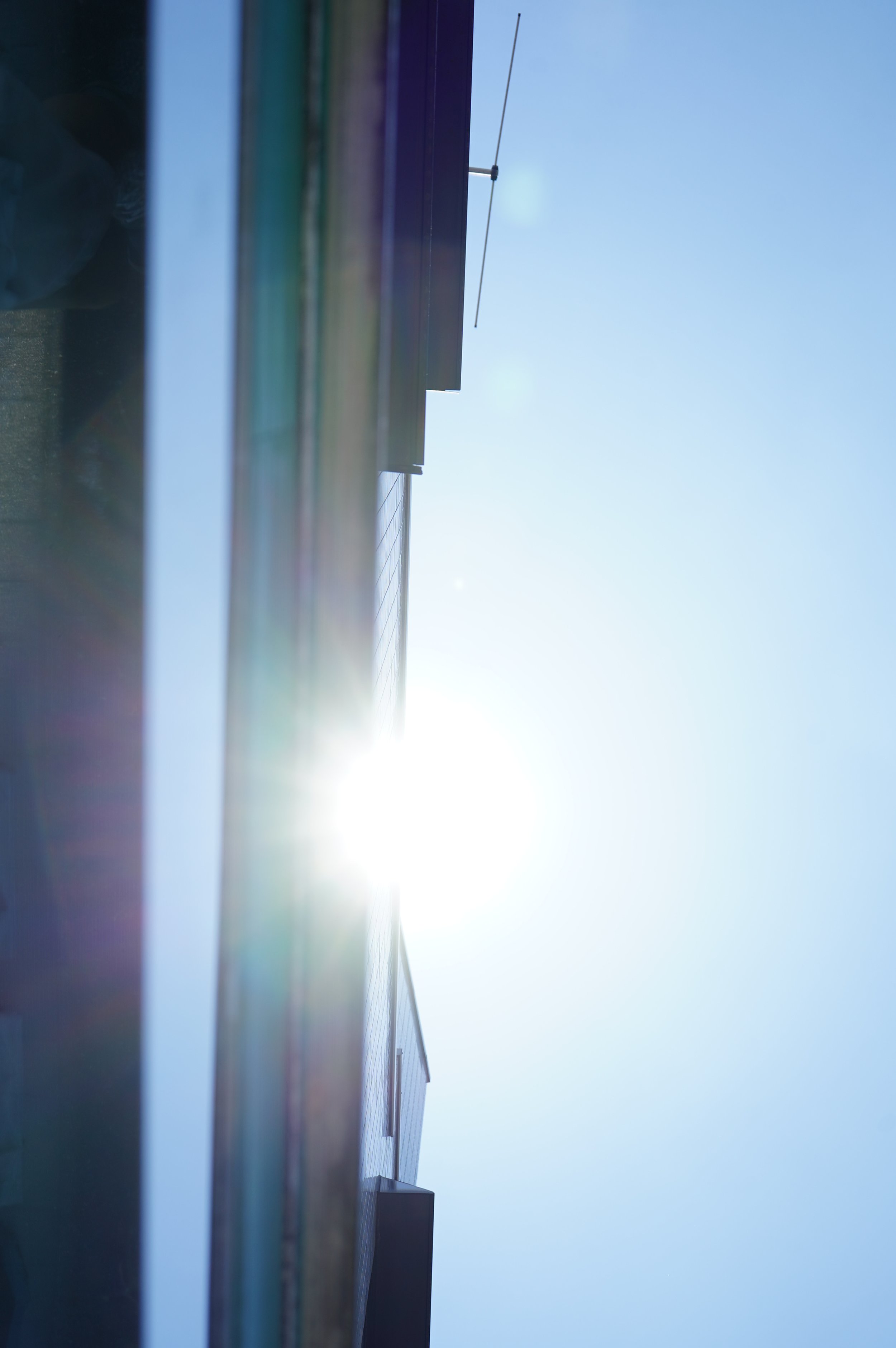 色々なTシャツ集めました 2023 #最終日