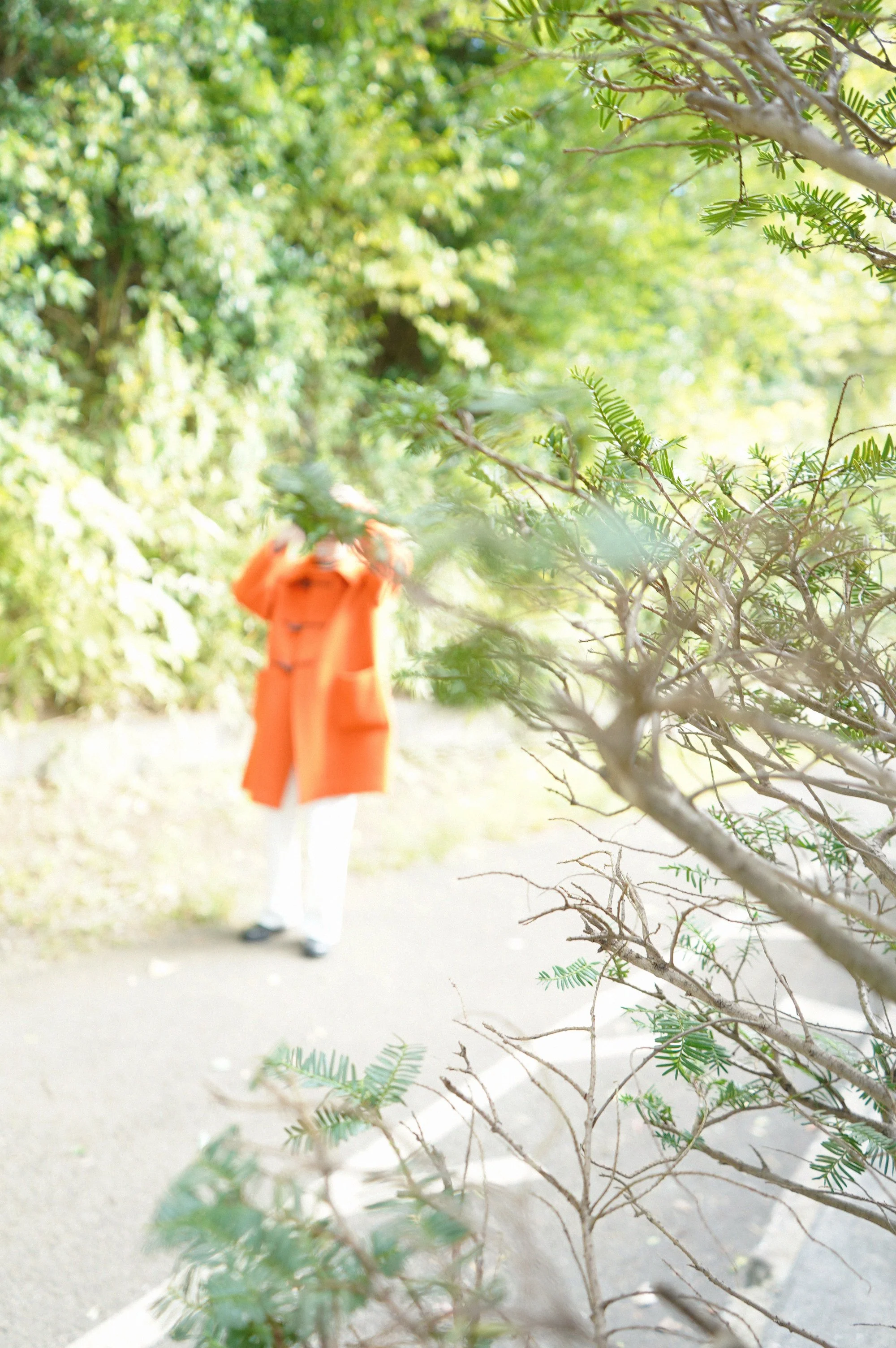 よく晴れた土曜日です。