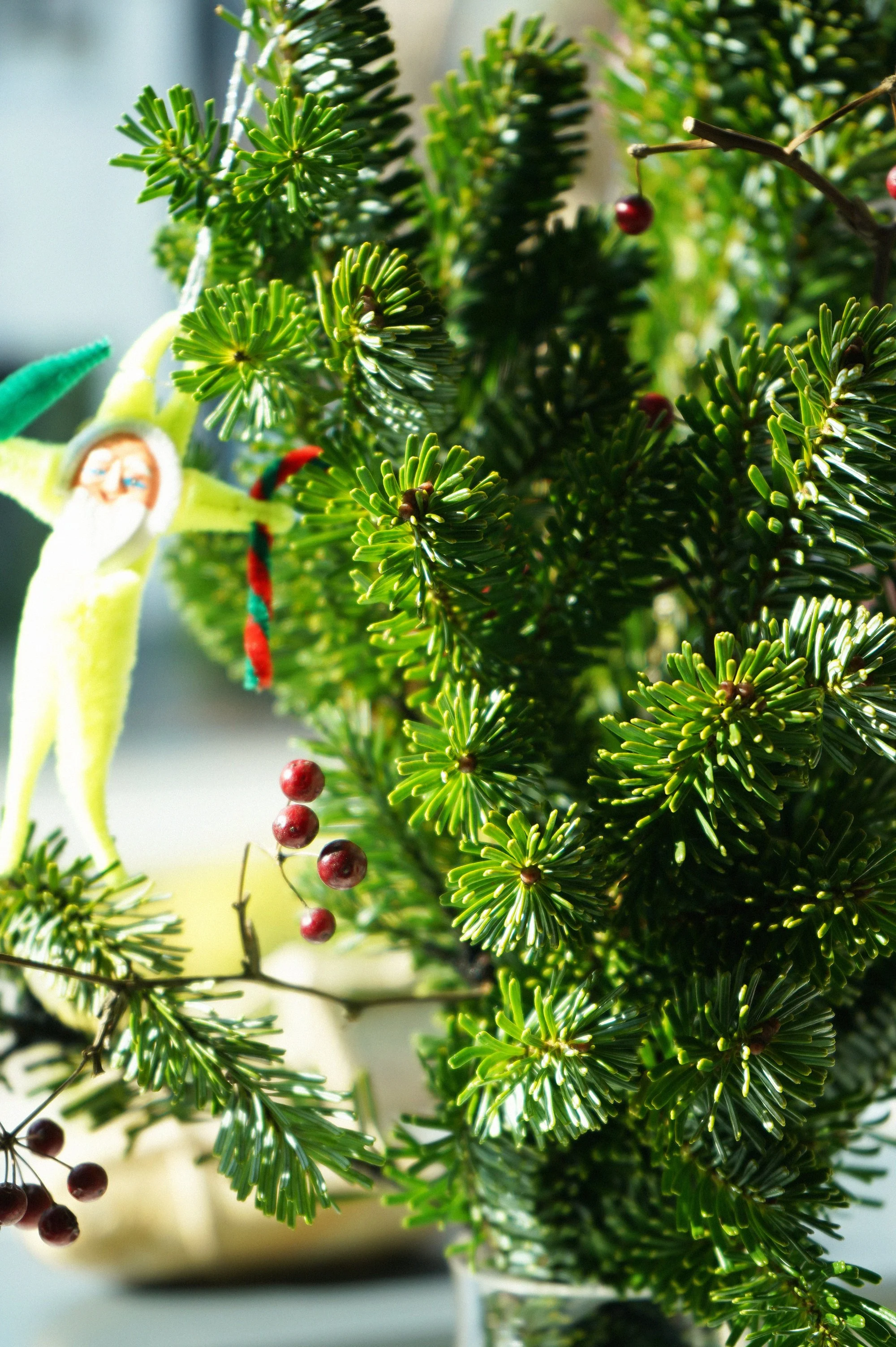 ずっとぼーっとしてます