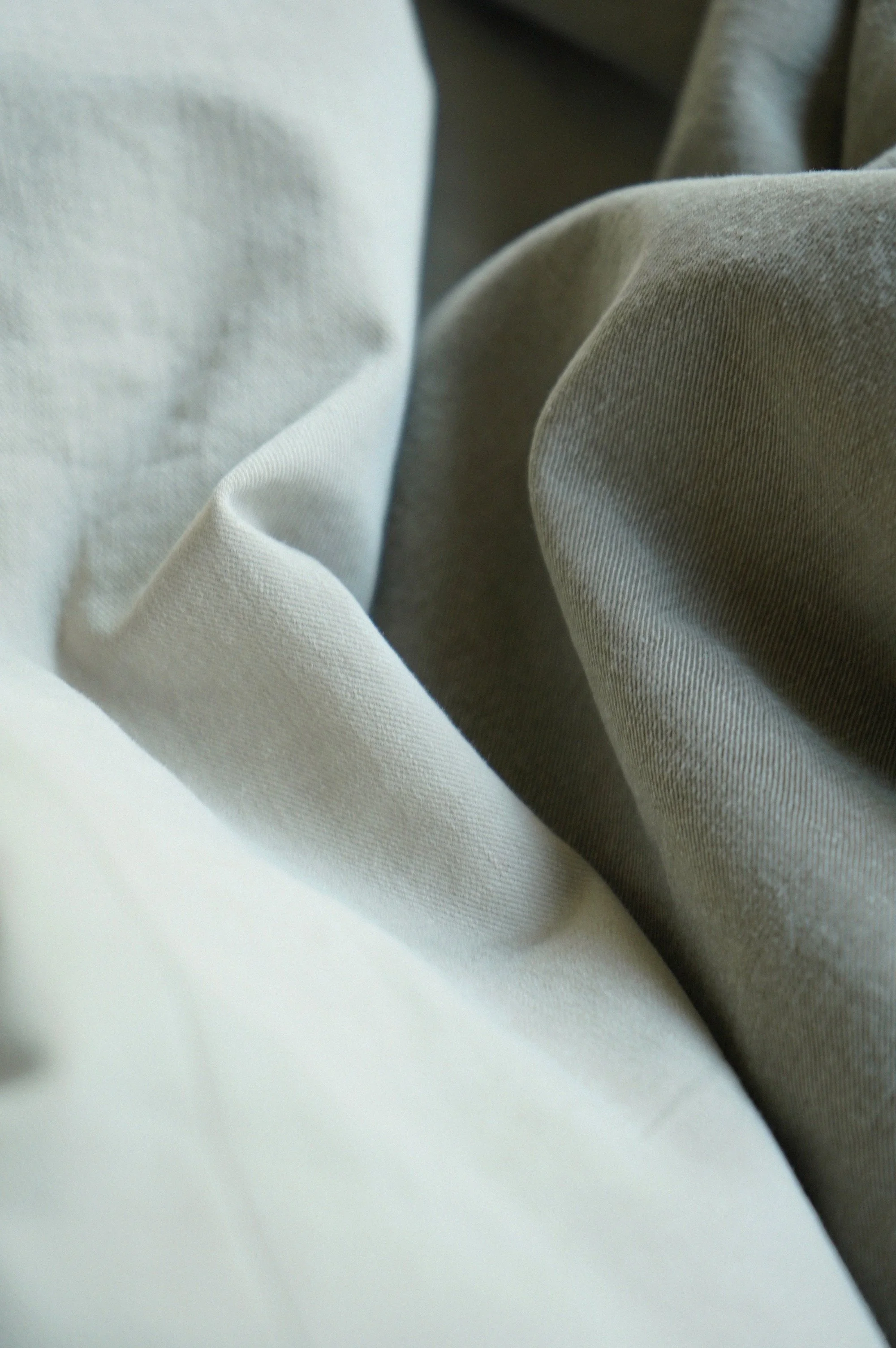 Caleのニドムチノ