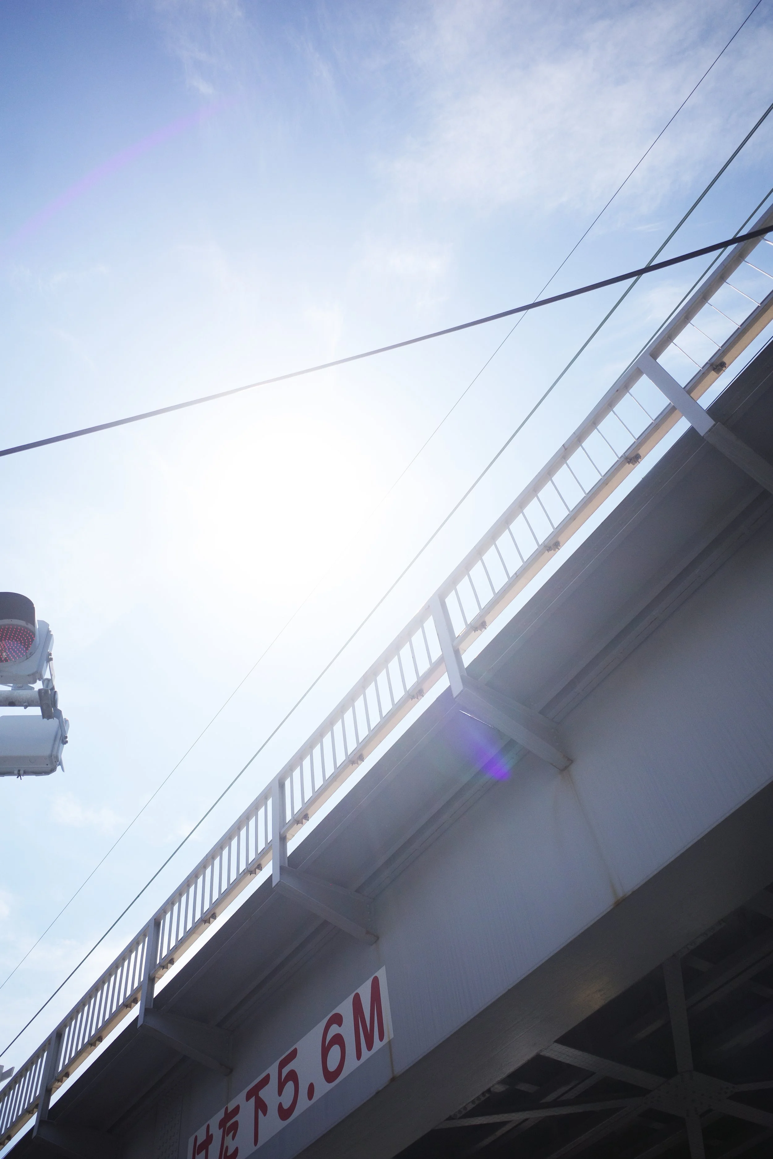 この夏最後のお買い物に