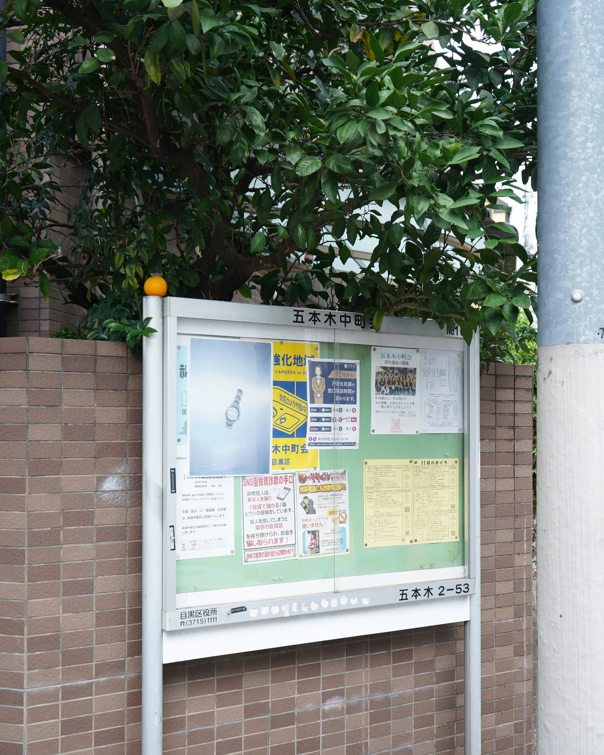 TF 13th Anniversary exclusive item - DG2000 skeleton - day 1