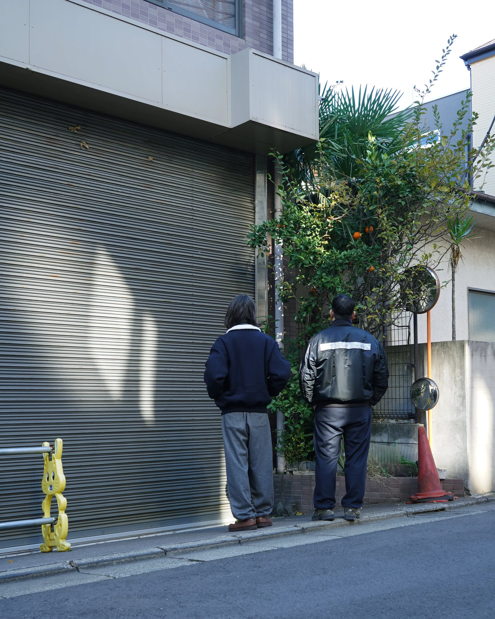 WELCOME-RAIN in TF  Last 2days