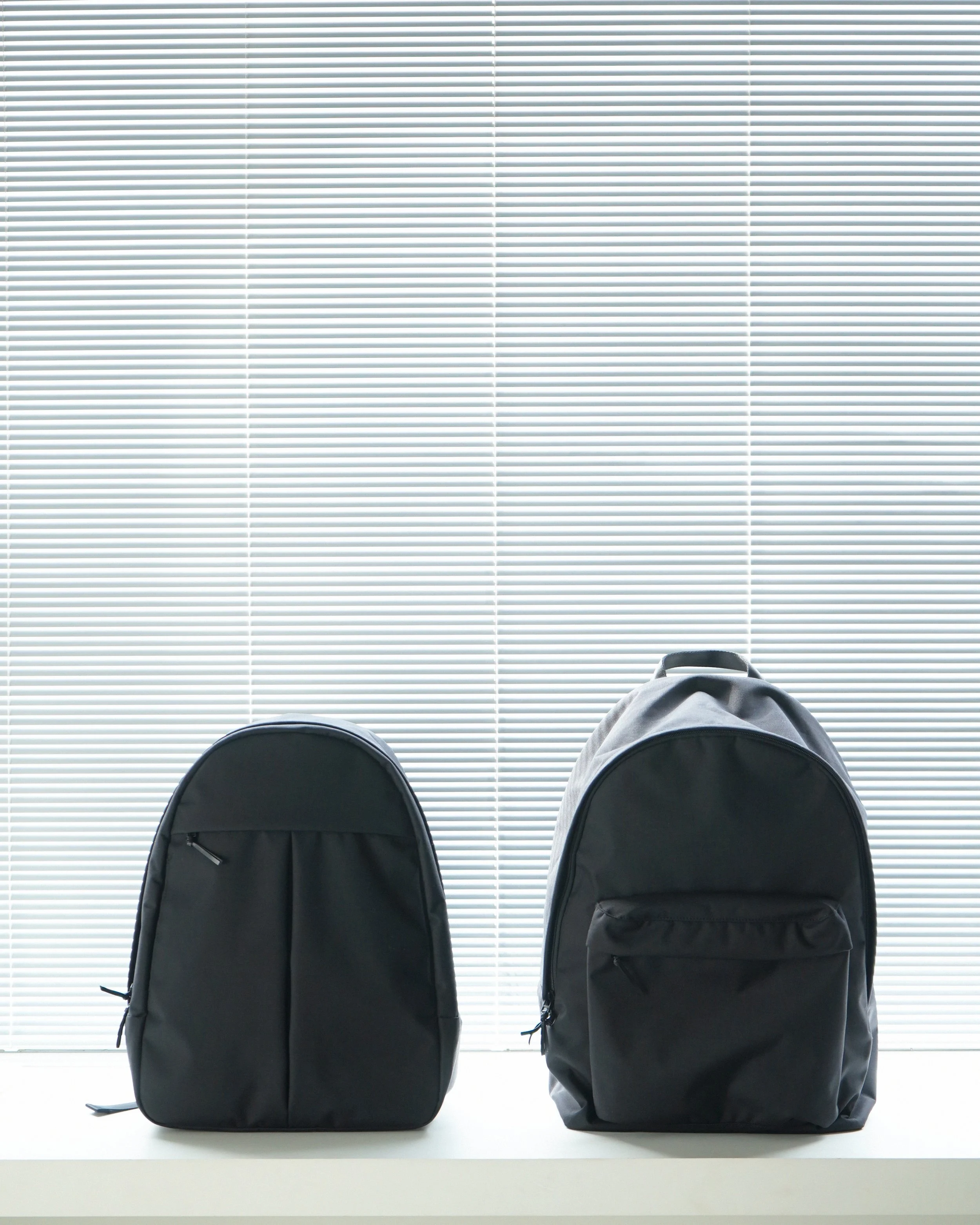 シャイとカブトムシ。