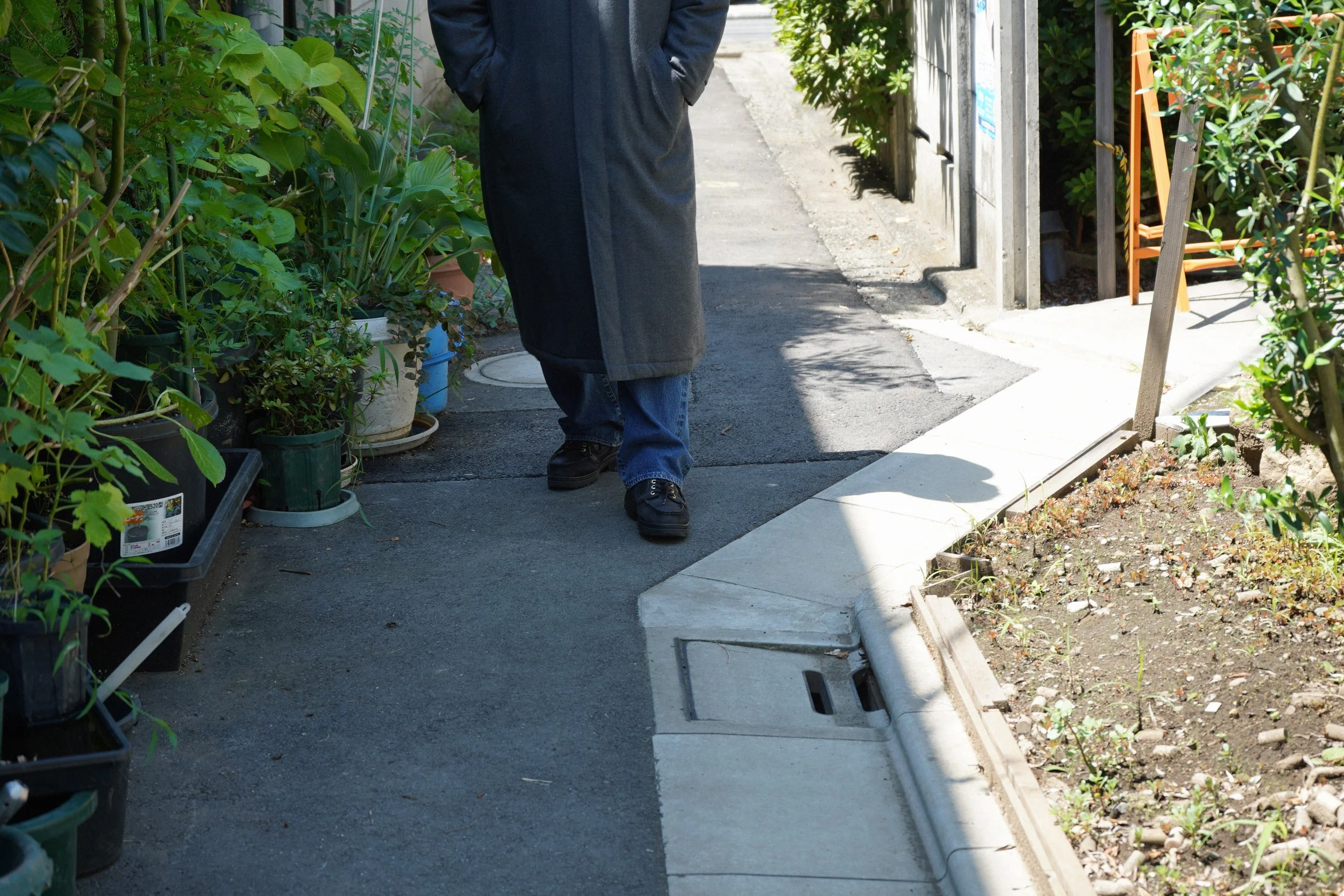 DSC06478.JPG