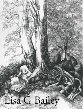 On Rocky Ground - Etching
