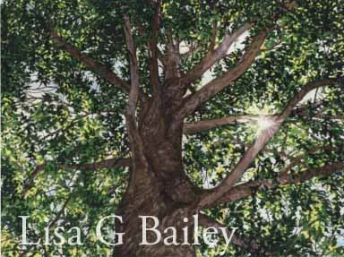 Under the Canopy - Watercolor
